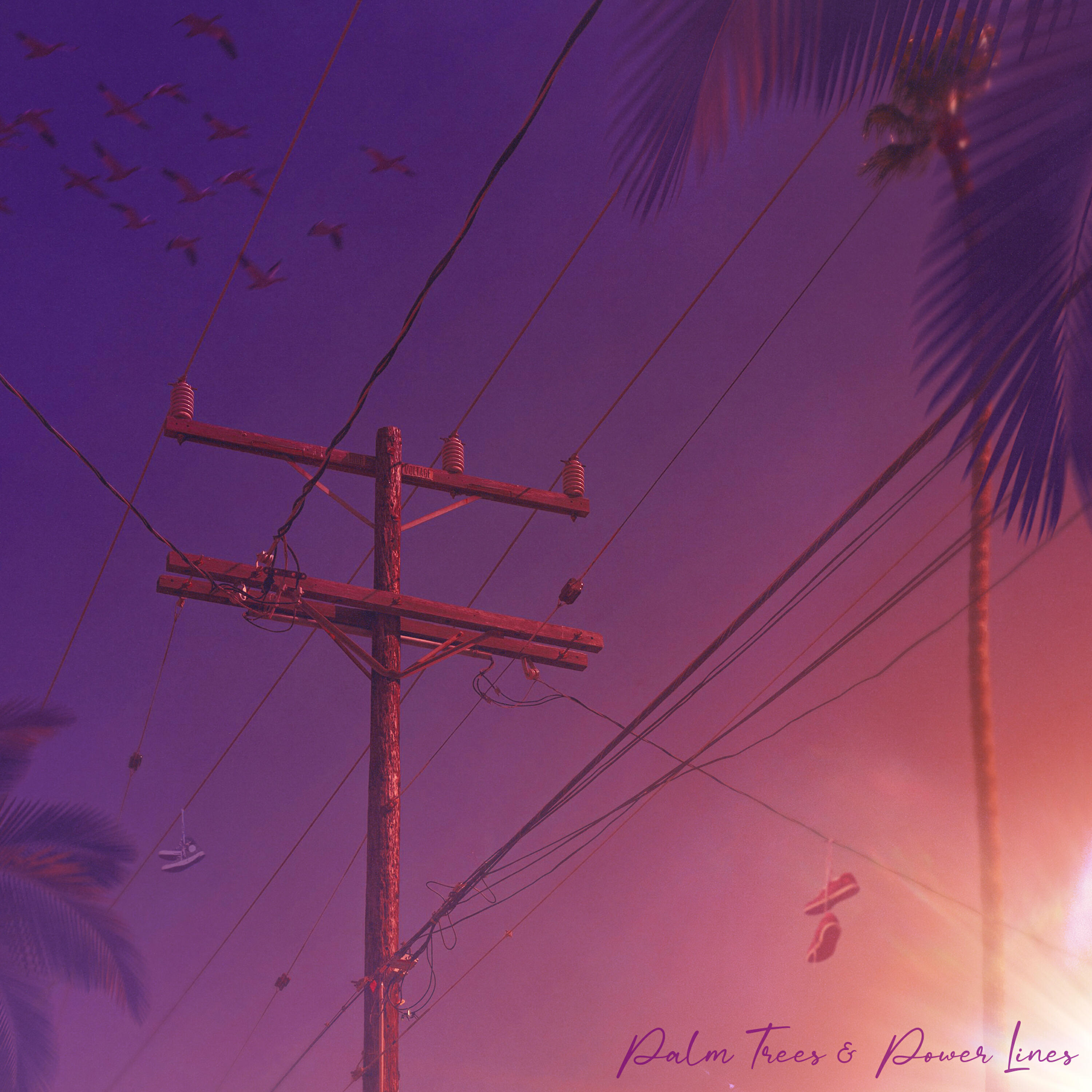 Релиз Palm Trees & Power Lines