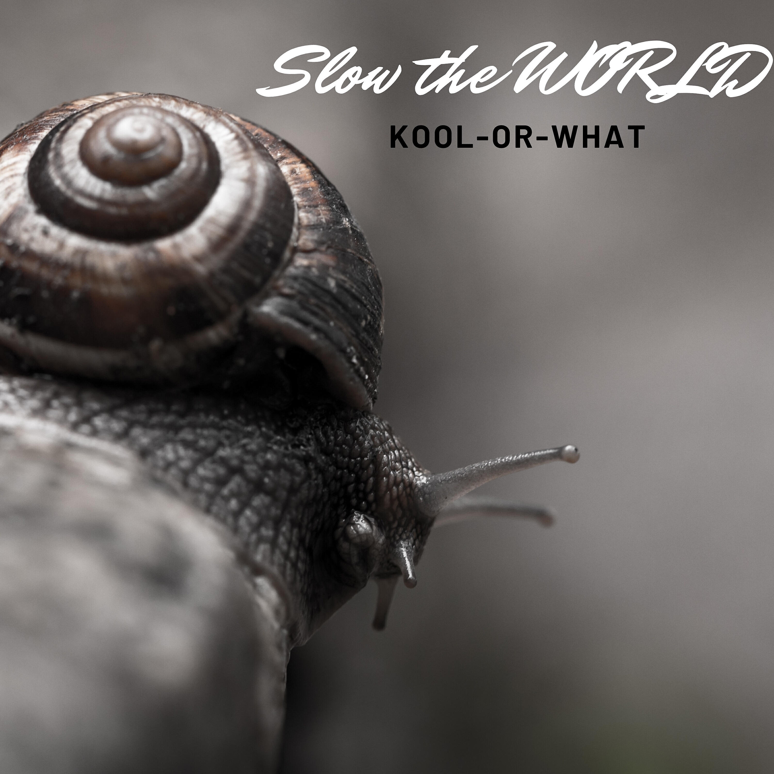 Kool-Or-What