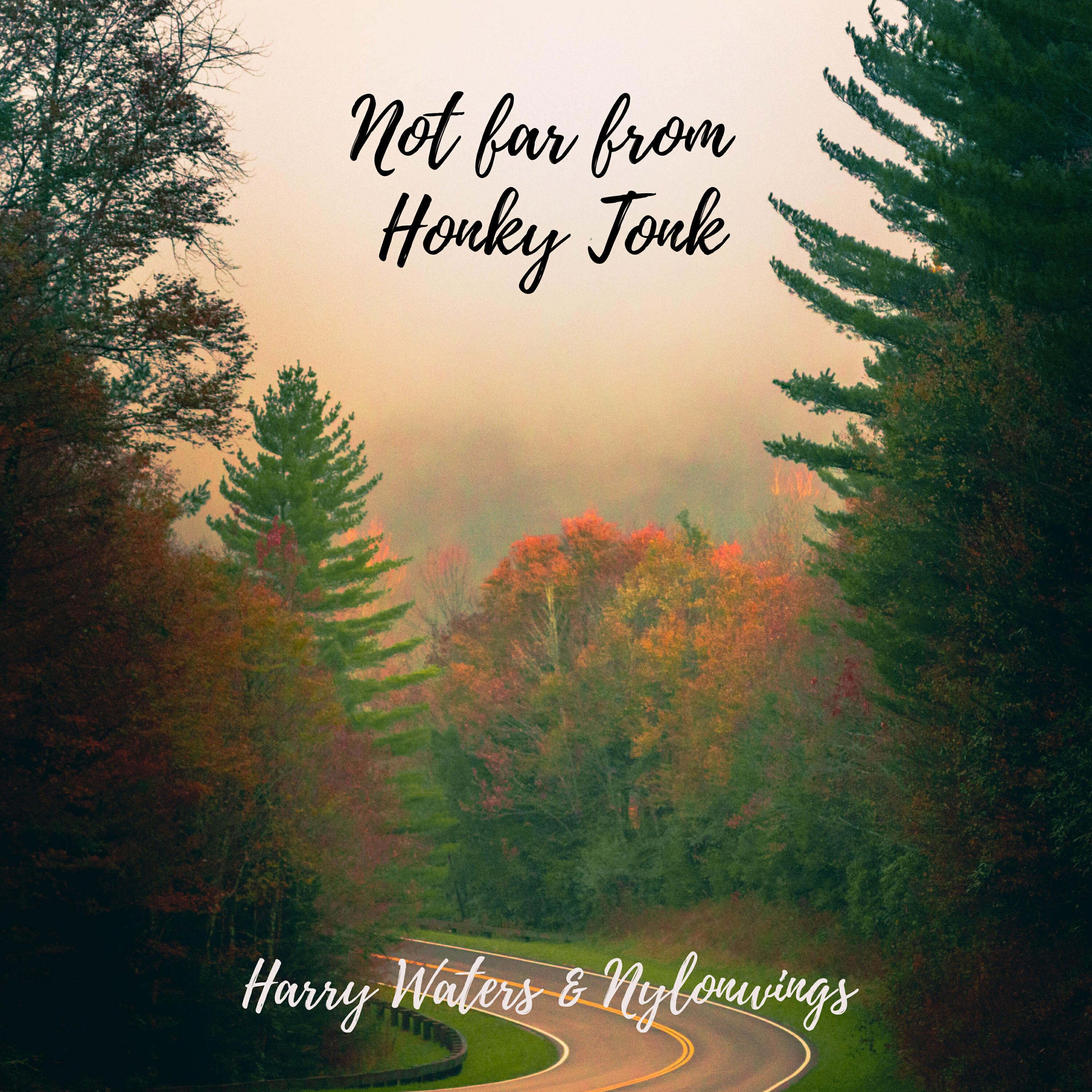 Релиз Not Far From Honky Tonk