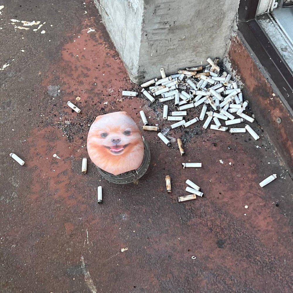 Релиз ДВИЖУХА