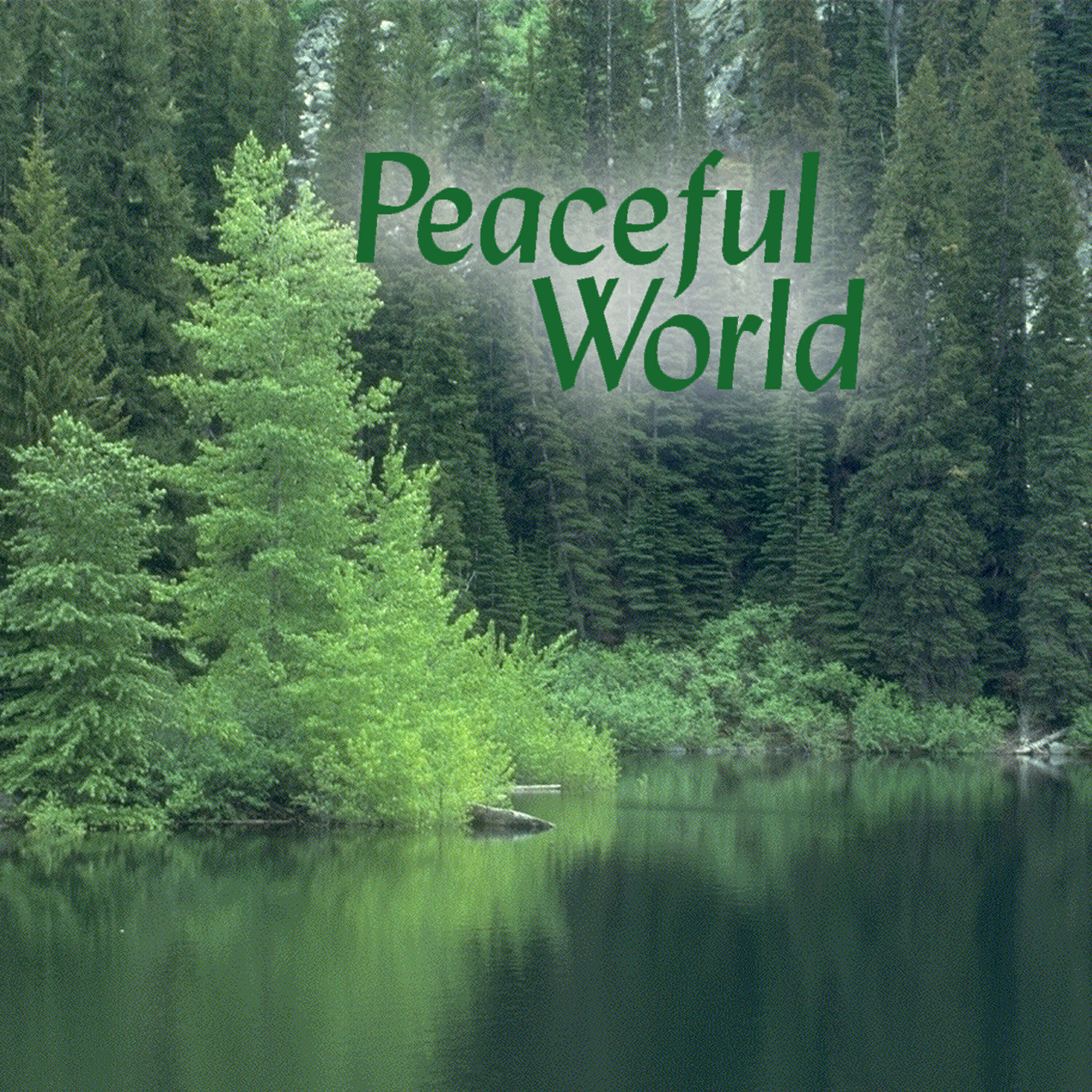 Релиз De-Stress Series: Peaceful World