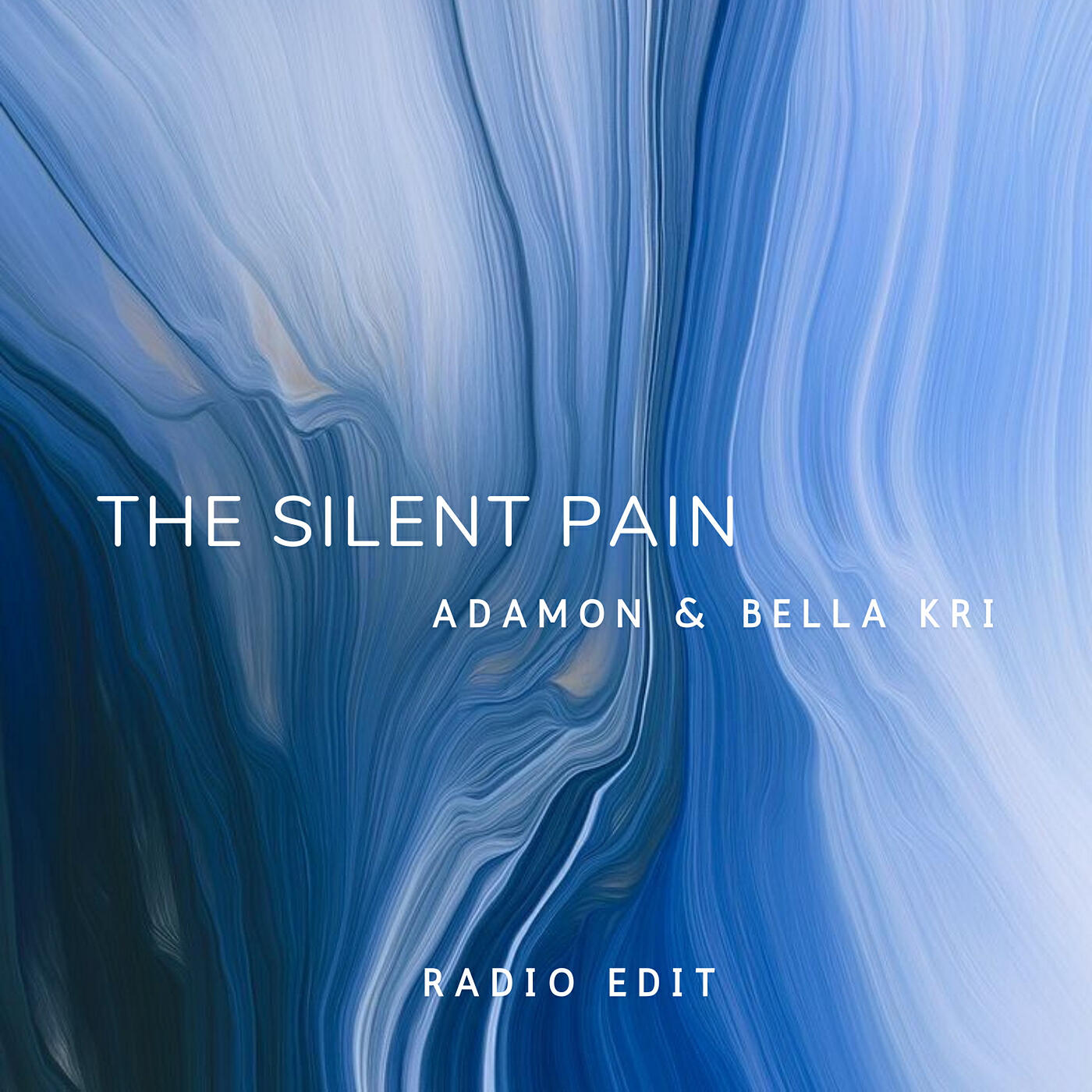 Постер альбома The Silent Pain (Radio Edit)