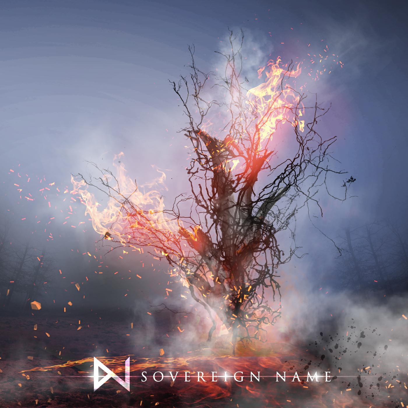 Релиз Sovereign Name