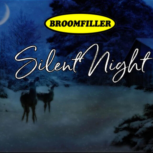 Релиз Silent Night (Christmas Cover 2020)