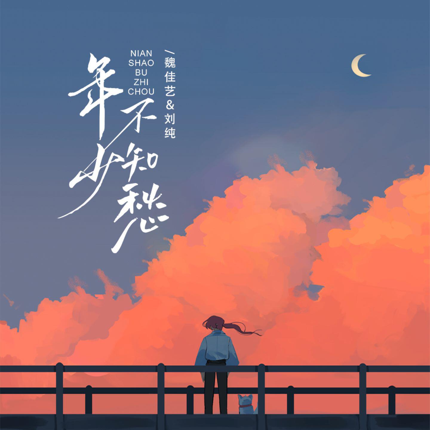 Релиз 年少不知愁