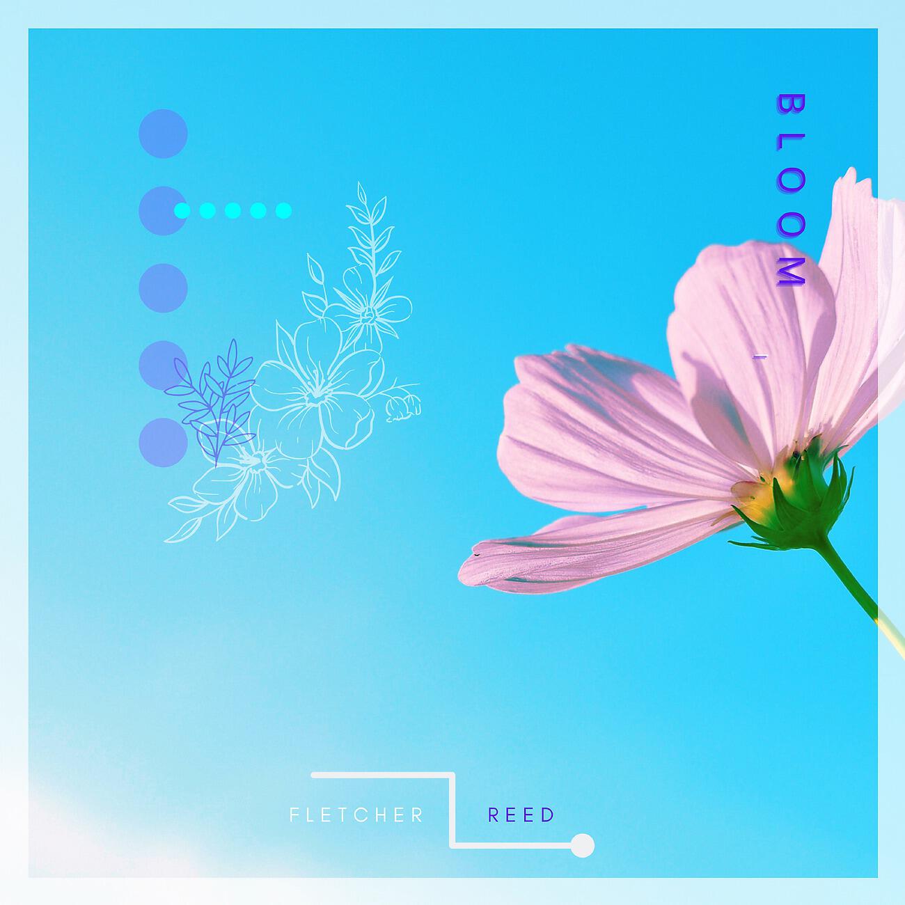 Релиз Bloom