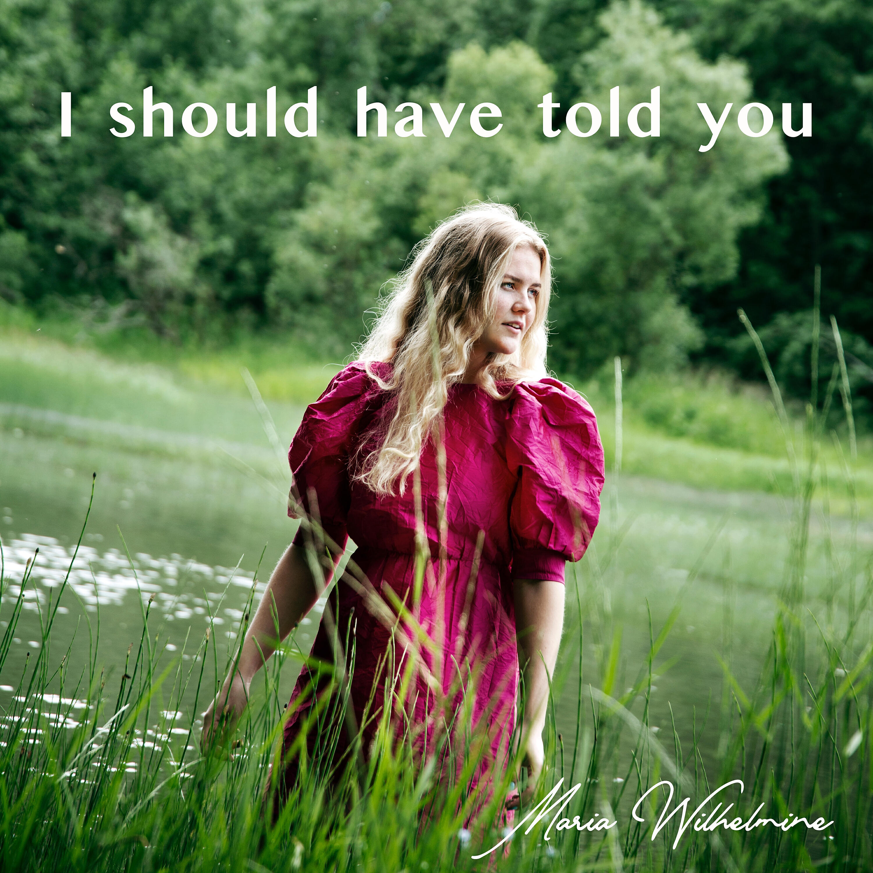 Релиз I Should Have Told You