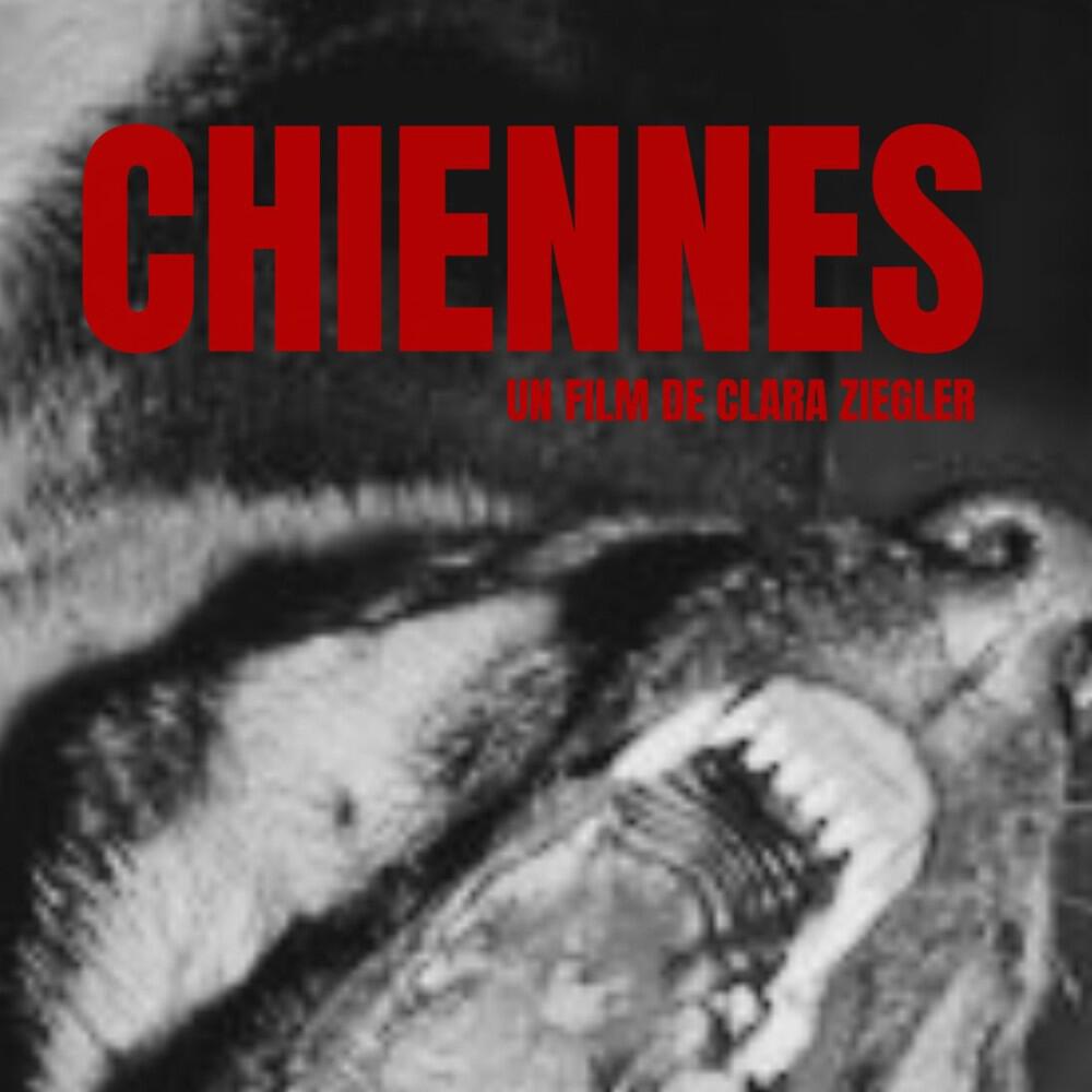 Релиз Bark (Musique originale de "Chiennes")