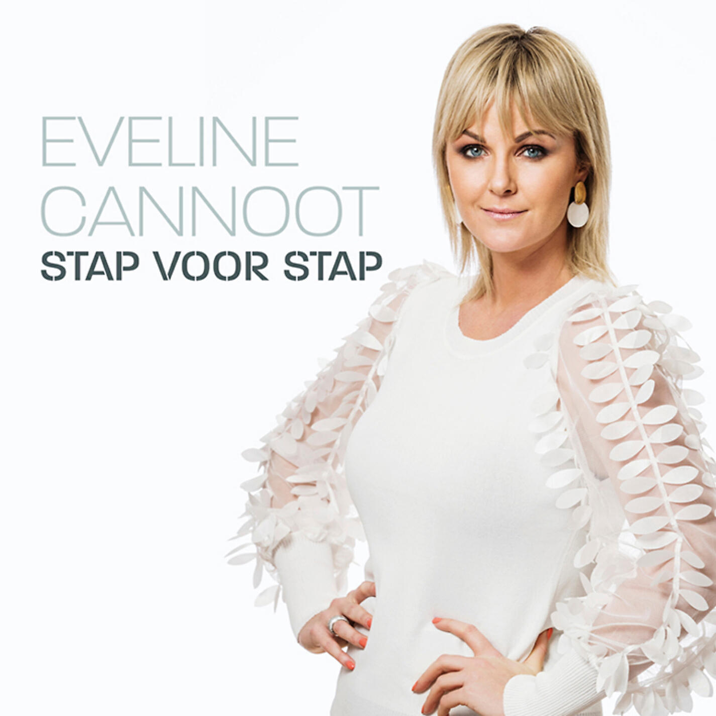 Релиз Stap Voor Stap