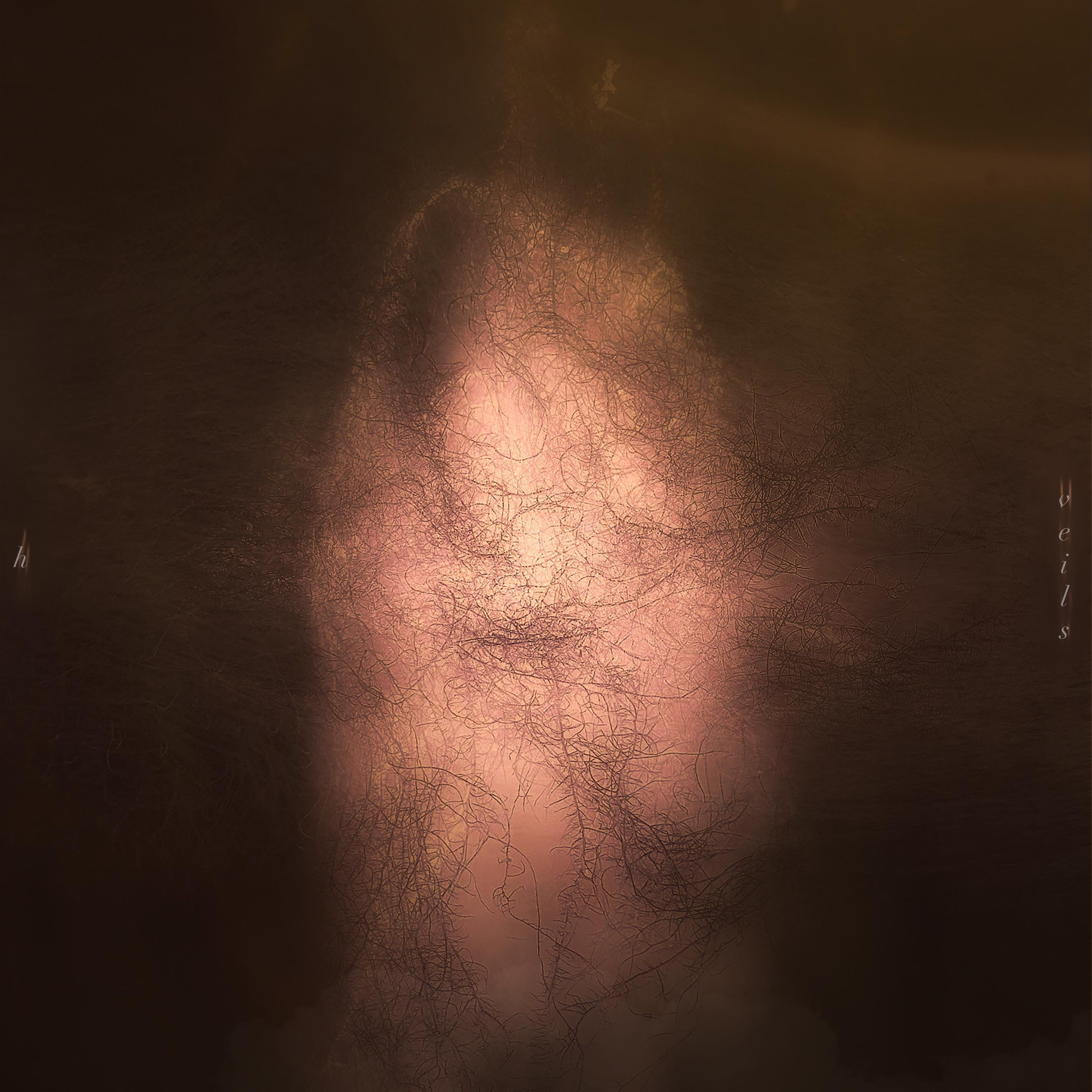 Релиз Veils