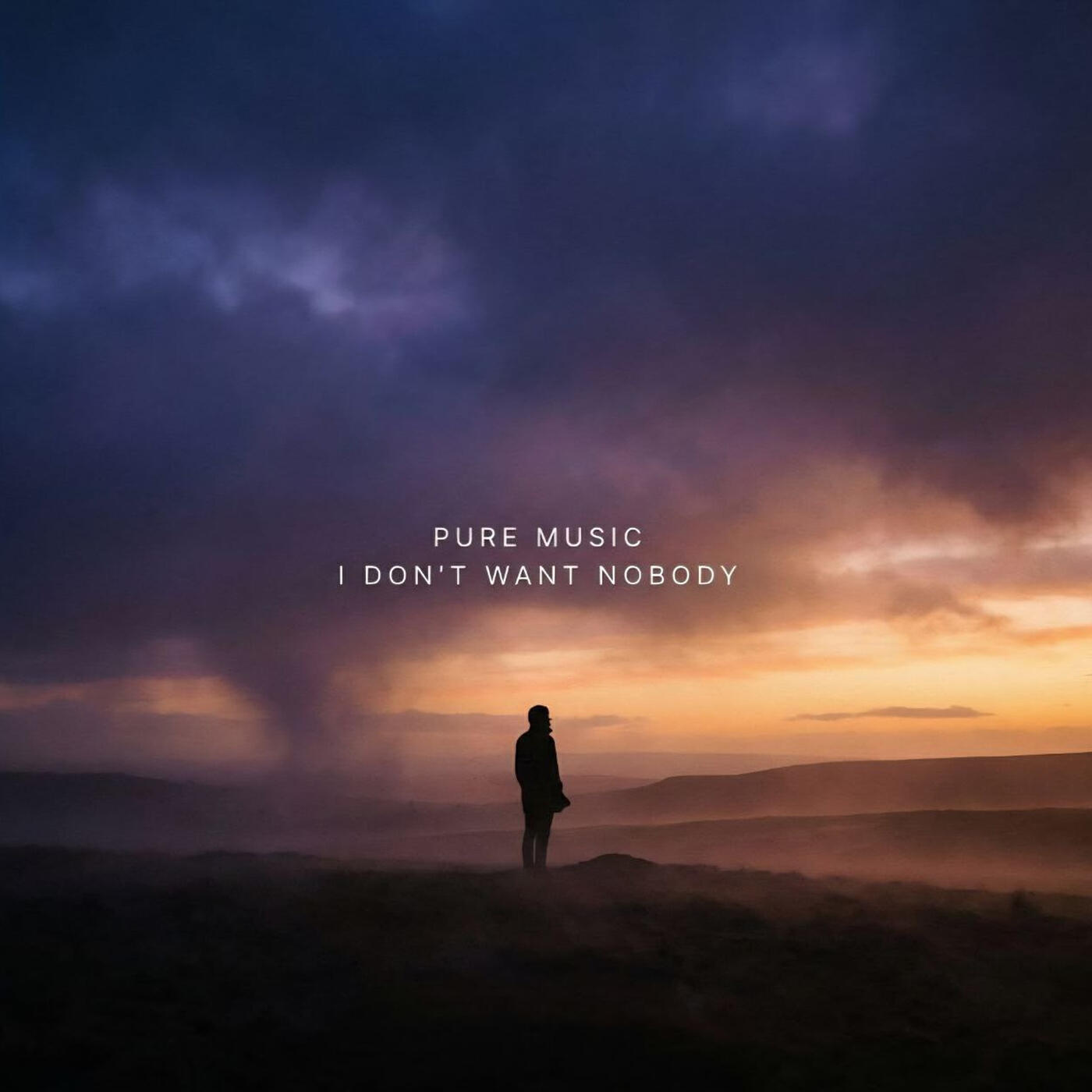 Релиз I Dont Want Nobody
