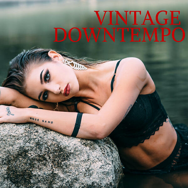 Релиз Vintage Downtempo