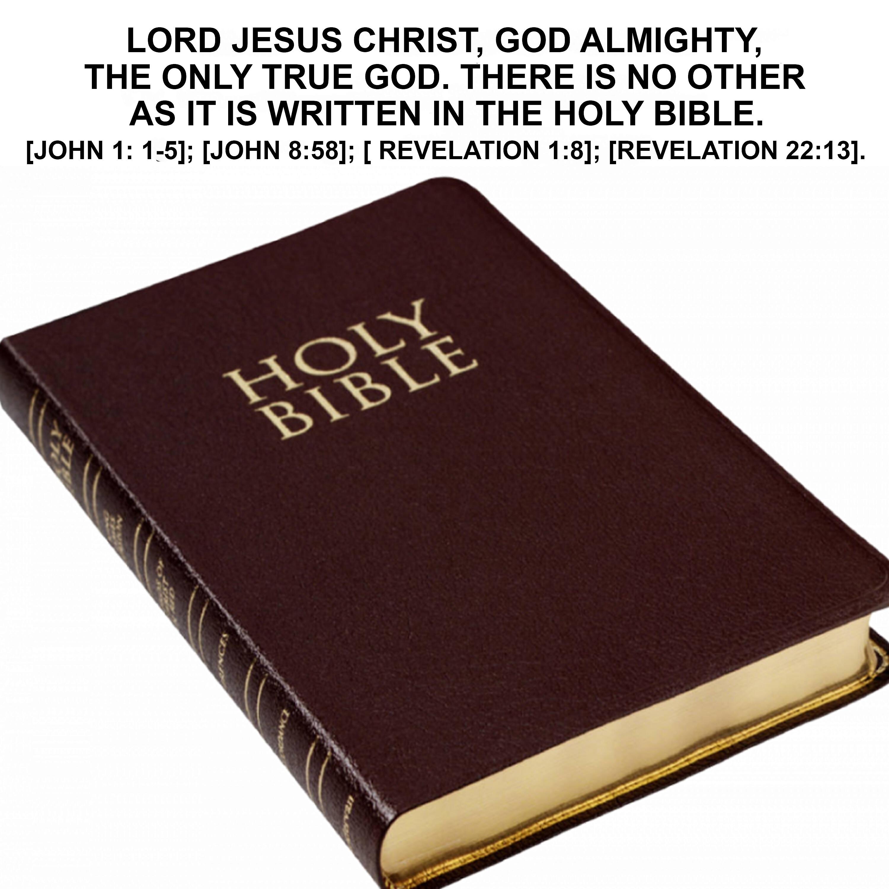 Релиз Lord Jesus Christ, God Almighty, the Only True God. There Is No Other as It Is Written in the Holy Bible. [John 1: 1-5]; [John 8:58]; [ Revelation 1:8]; [Revelation 22:13].