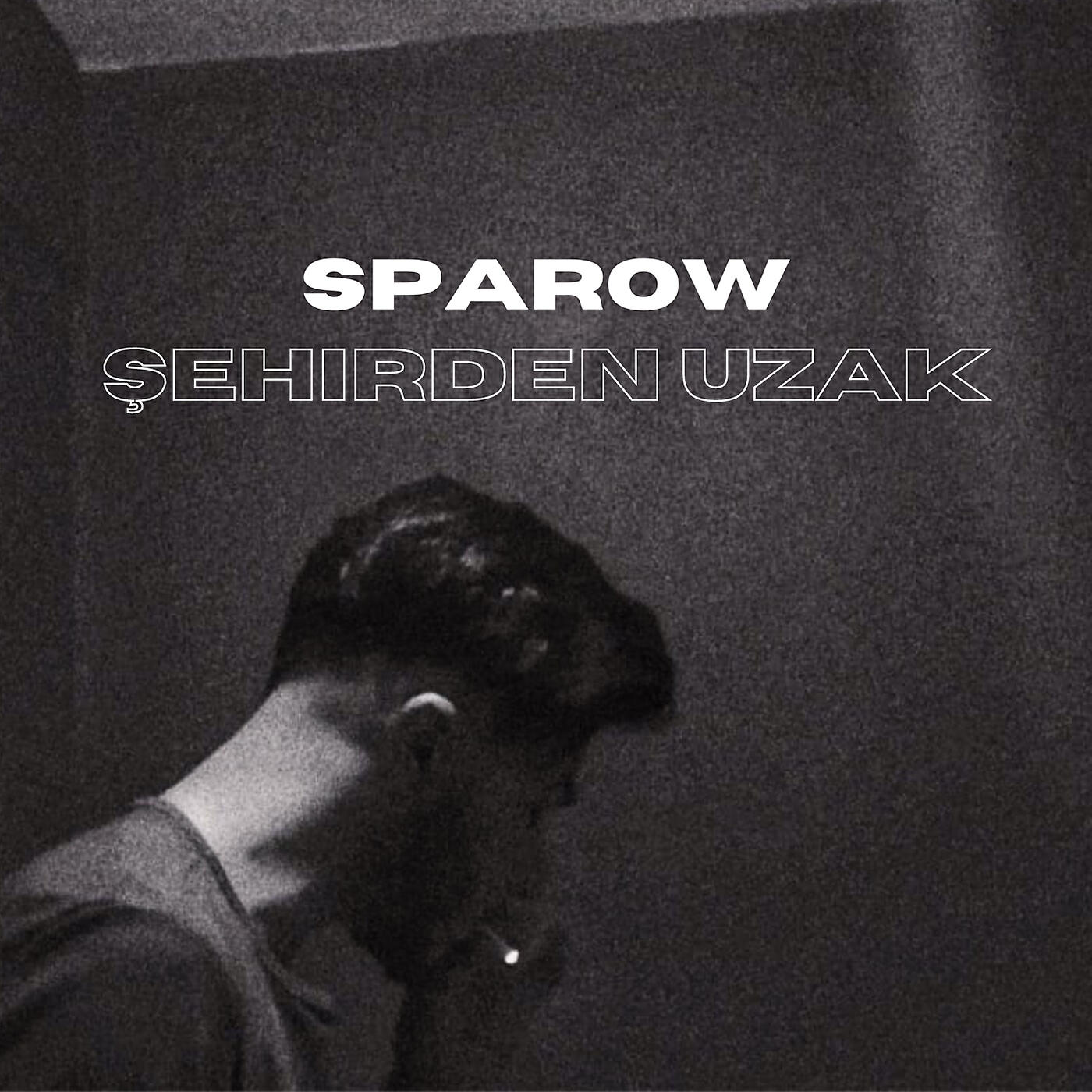 Sparow