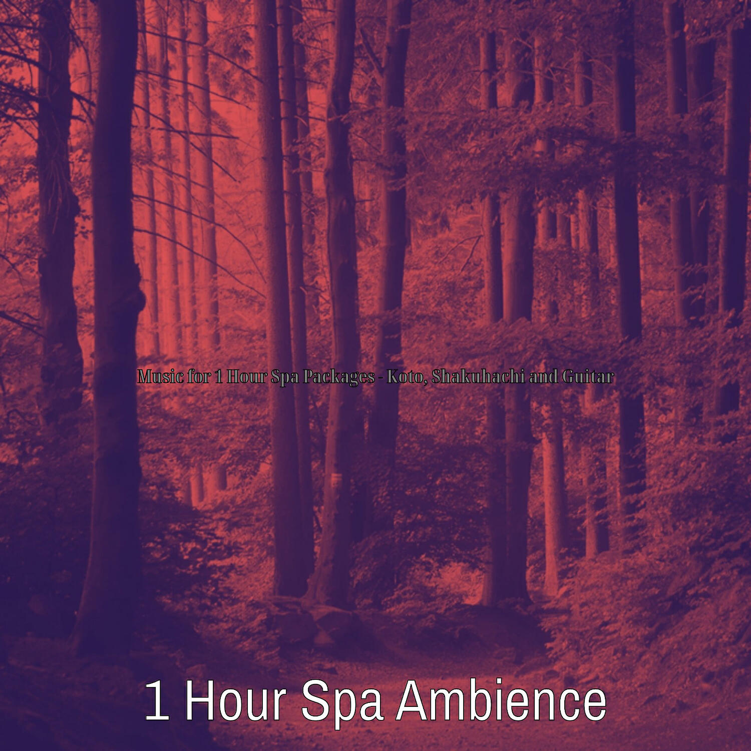 Релиз Music for 1 Hour Spa Packages - Koto, Shakuhachi and Guitar