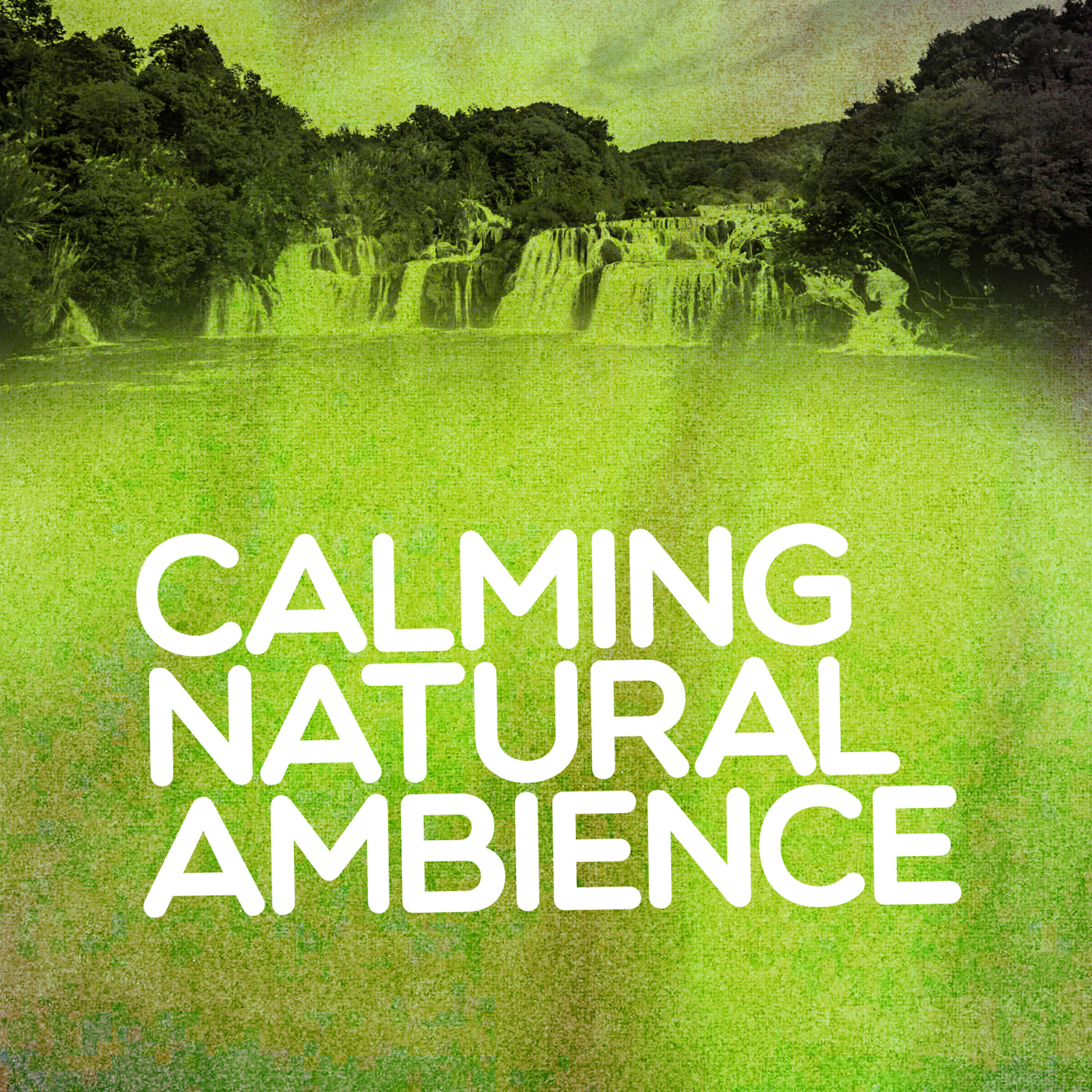 Релиз Calming Natural Ambience