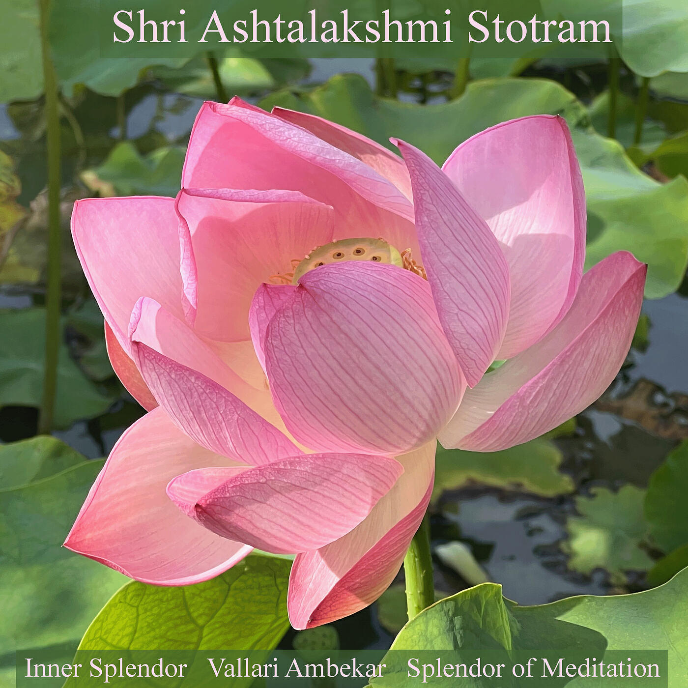 Релиз Shri Ashtalakshmi Stotram