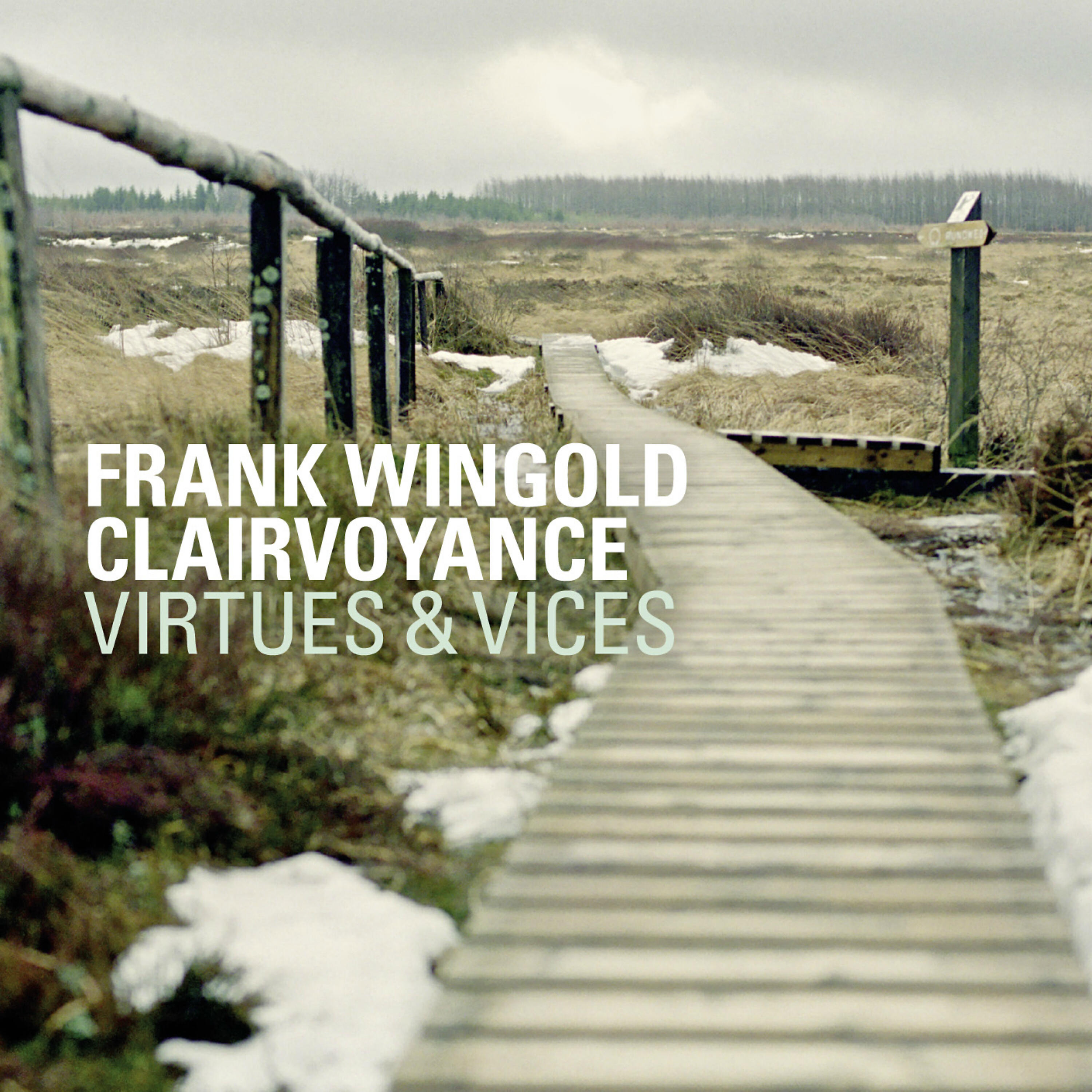 Релиз Virtues & Vices
