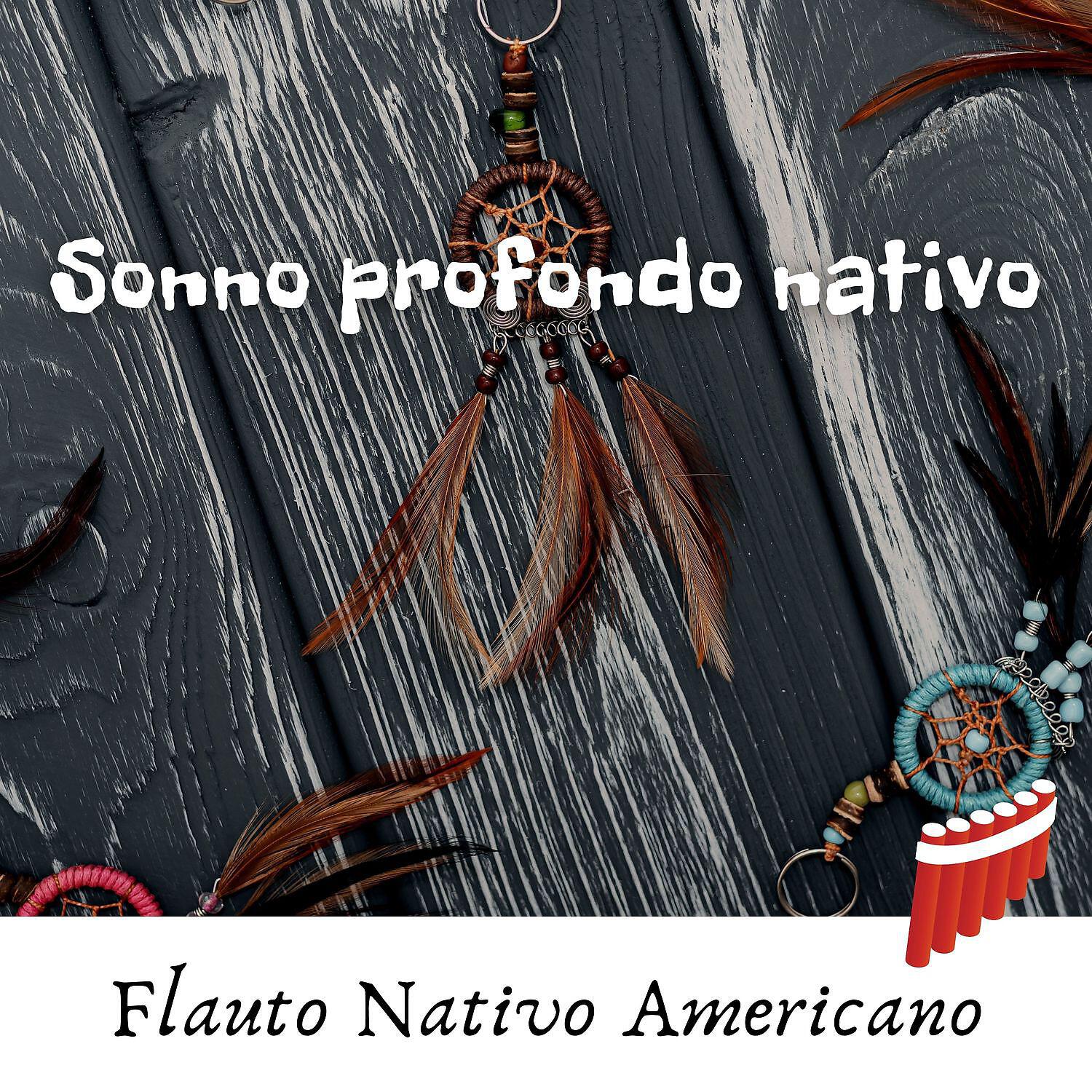 Релиз Sonno profondo nativo - Musica dei sogni di guarigione sciamanica