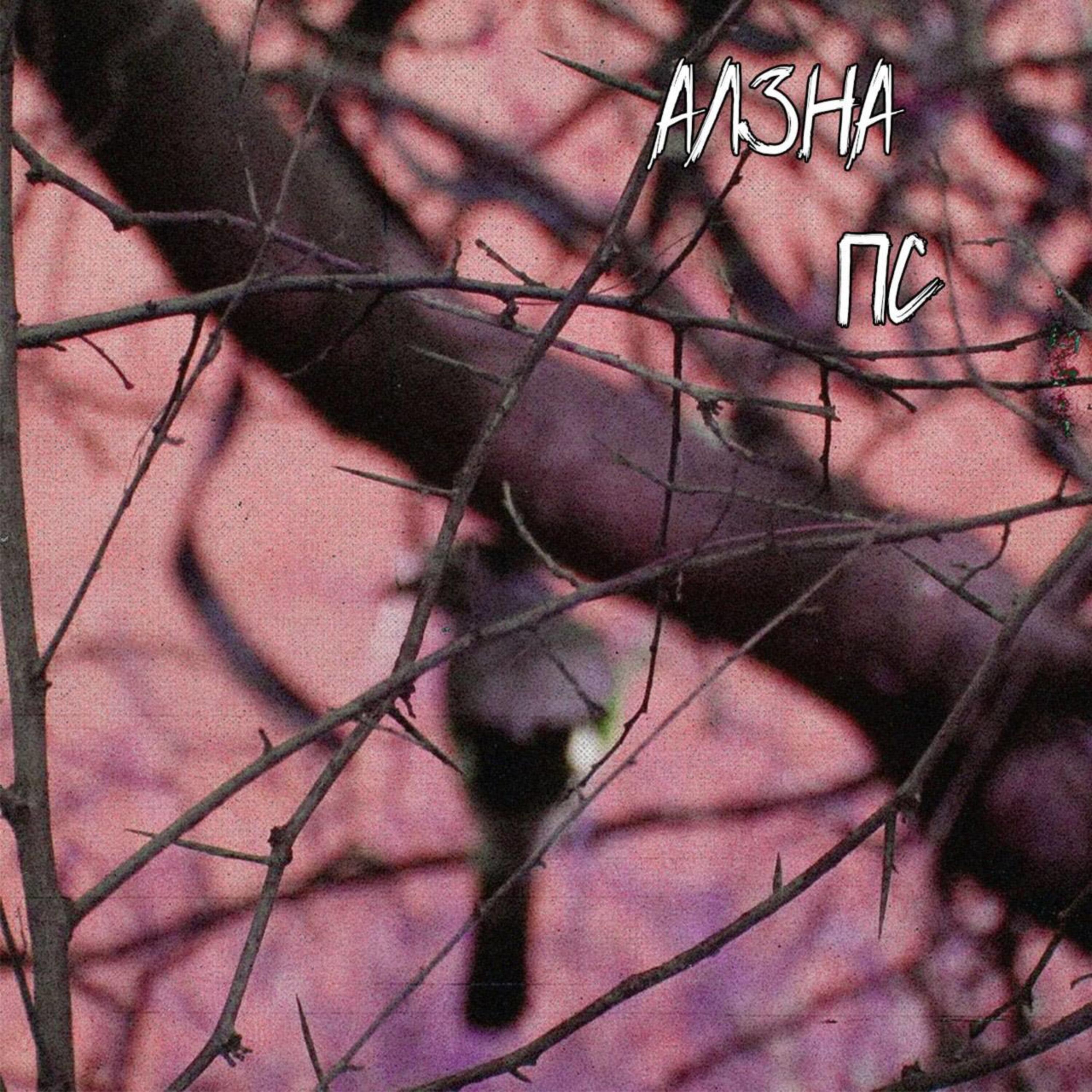 Релиз Пс