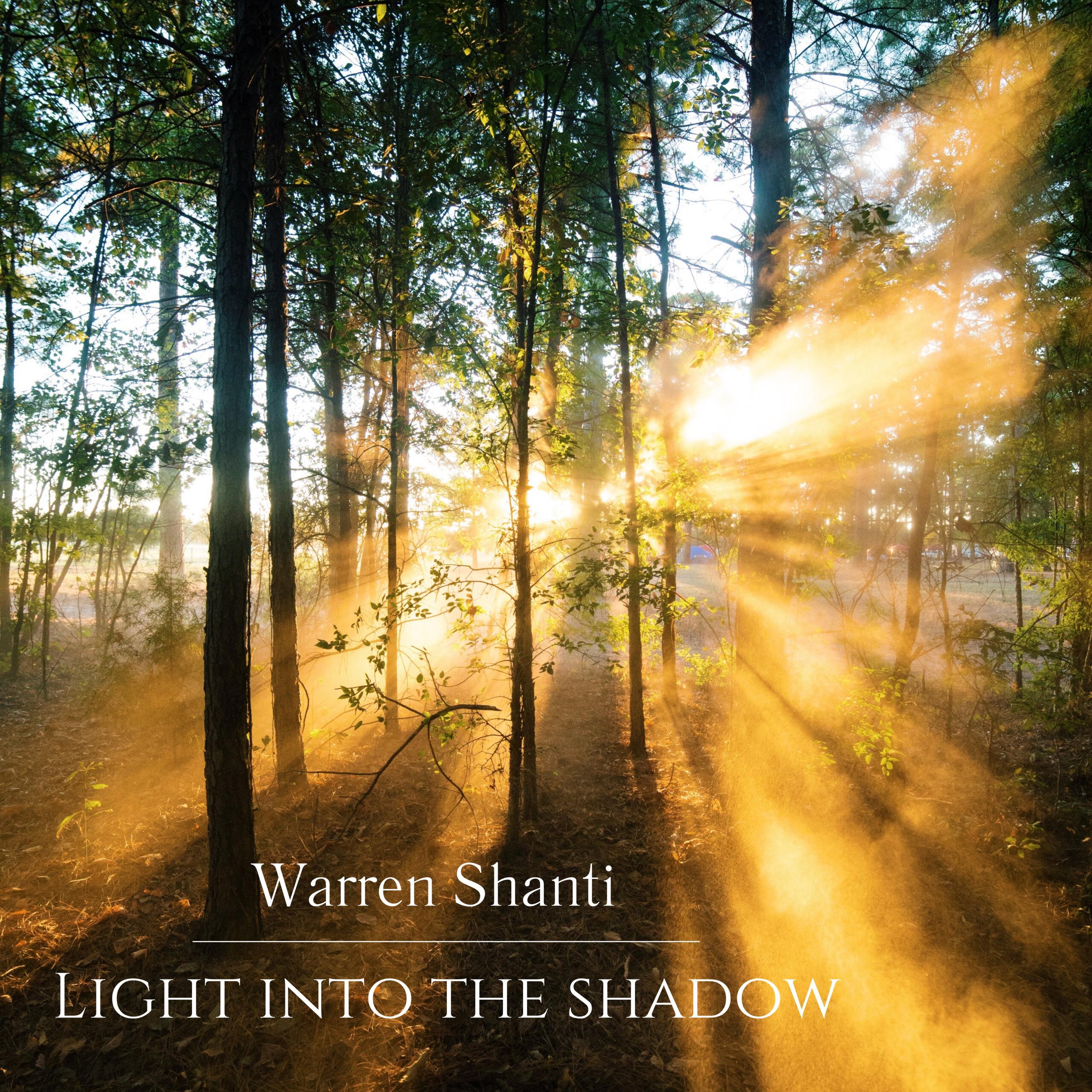 Релиз Light into the Shadow