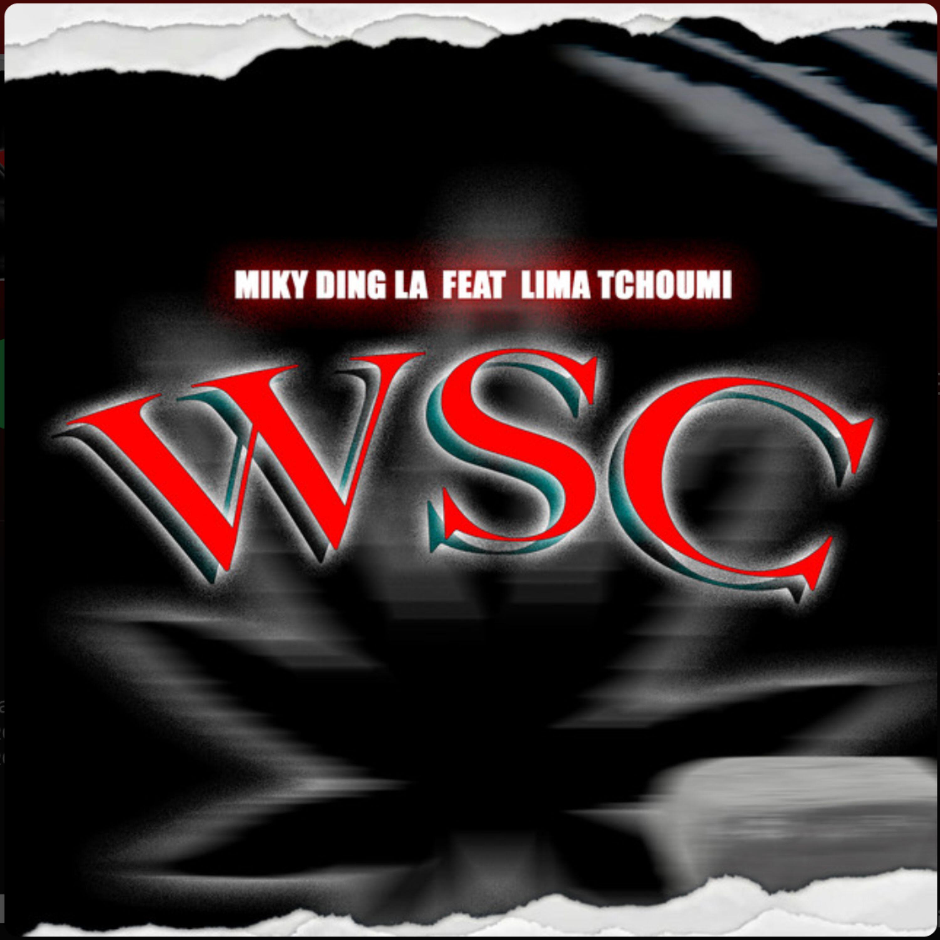 Релиз WSC
