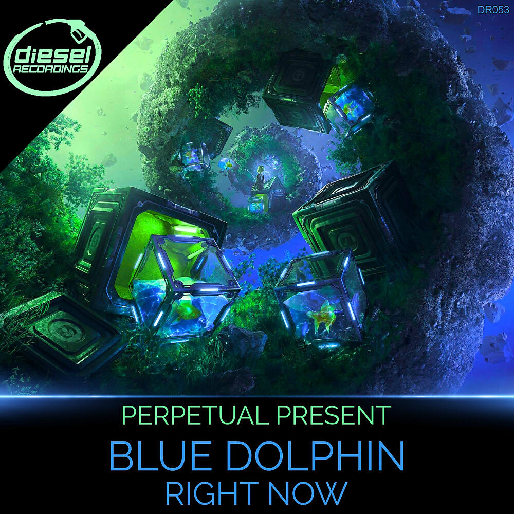 Релиз Blue Dolphin / Right Now