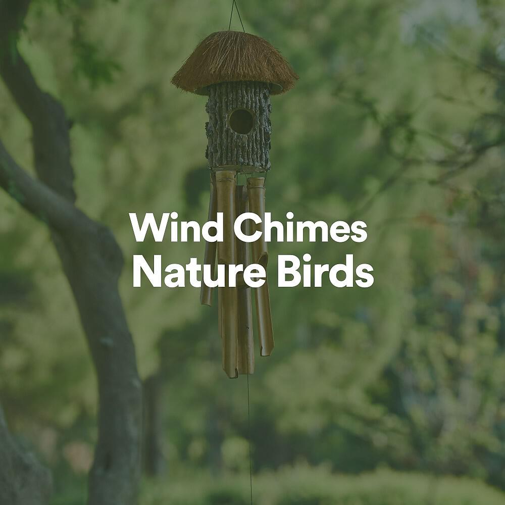 Постер альбома Wind Chimes Nature