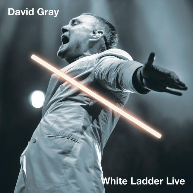 Постер альбома White Ladder Live