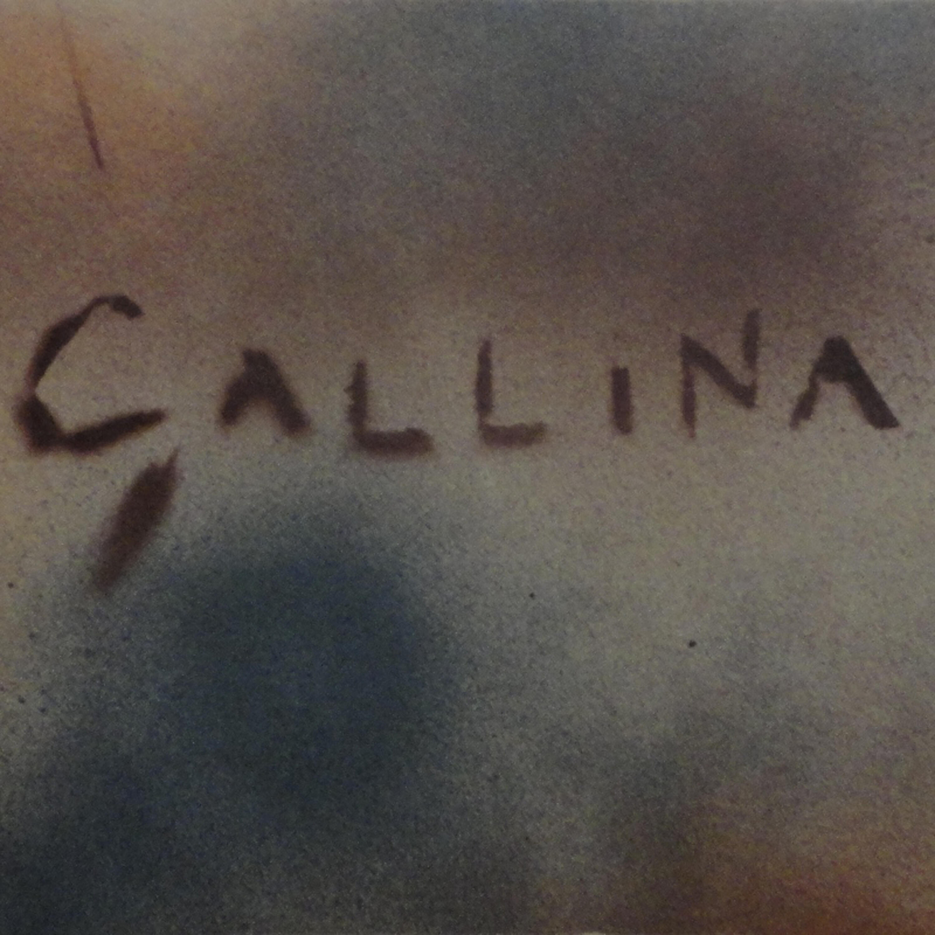 Релиз Gallina