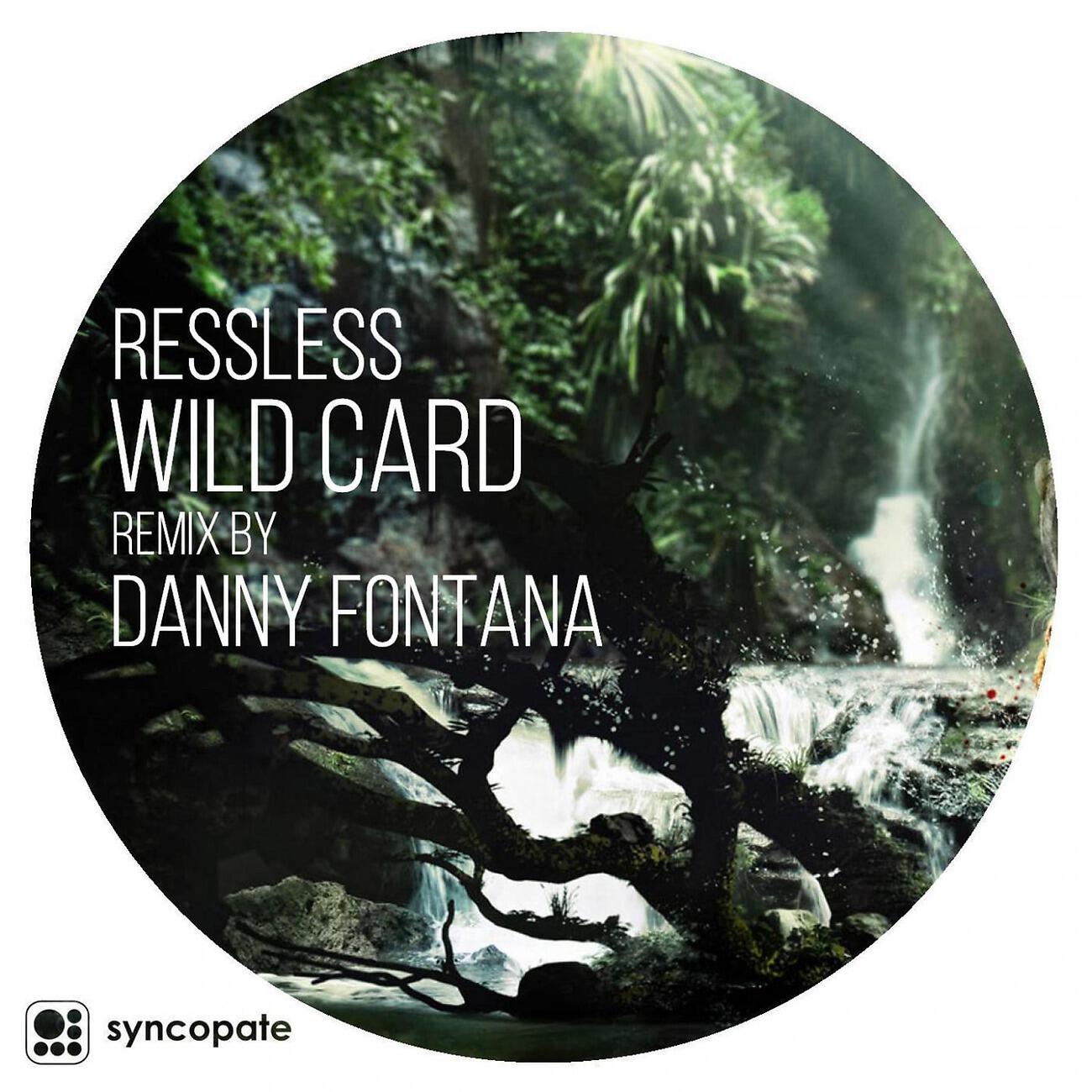 Релиз Wild Card