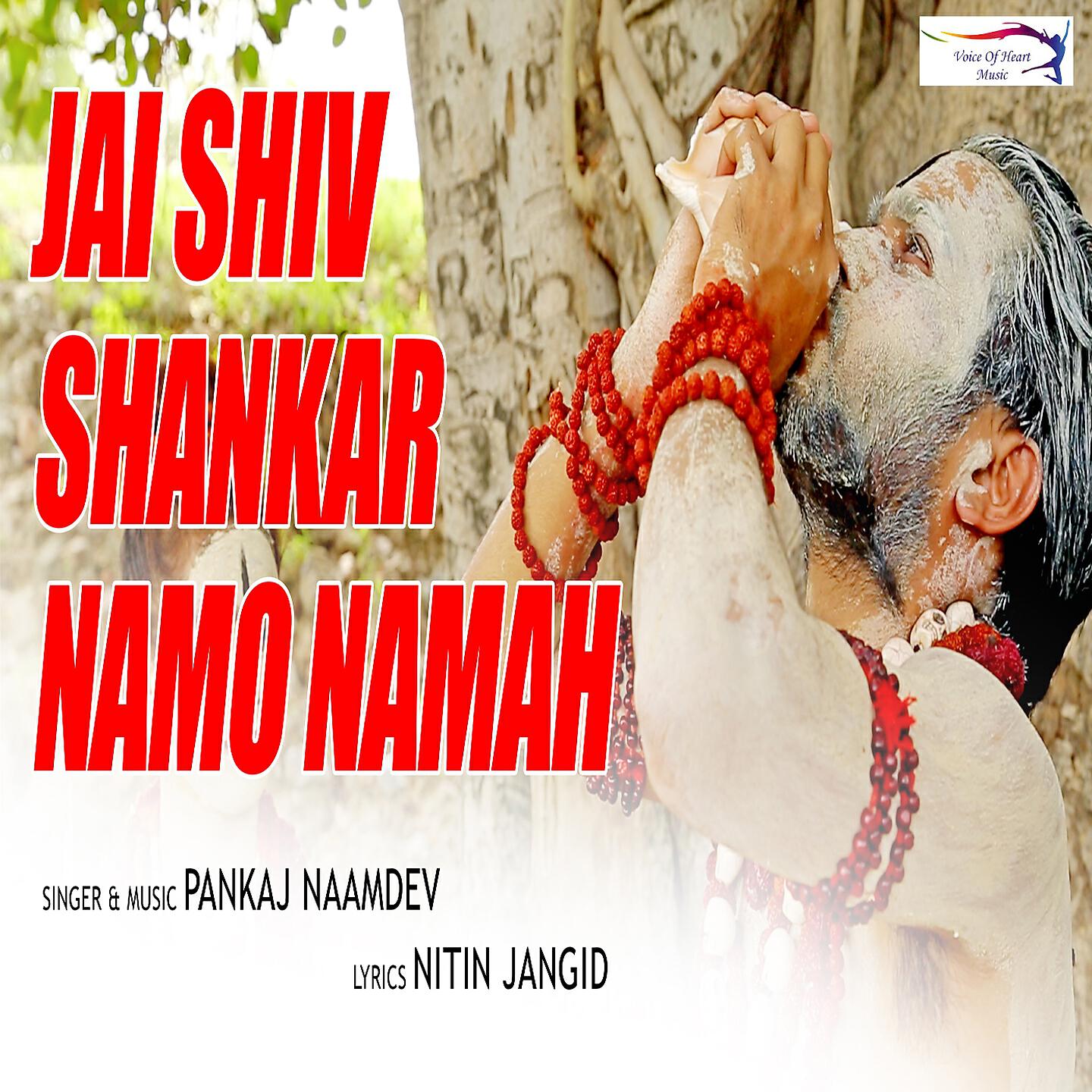 Pankaj Naamdev