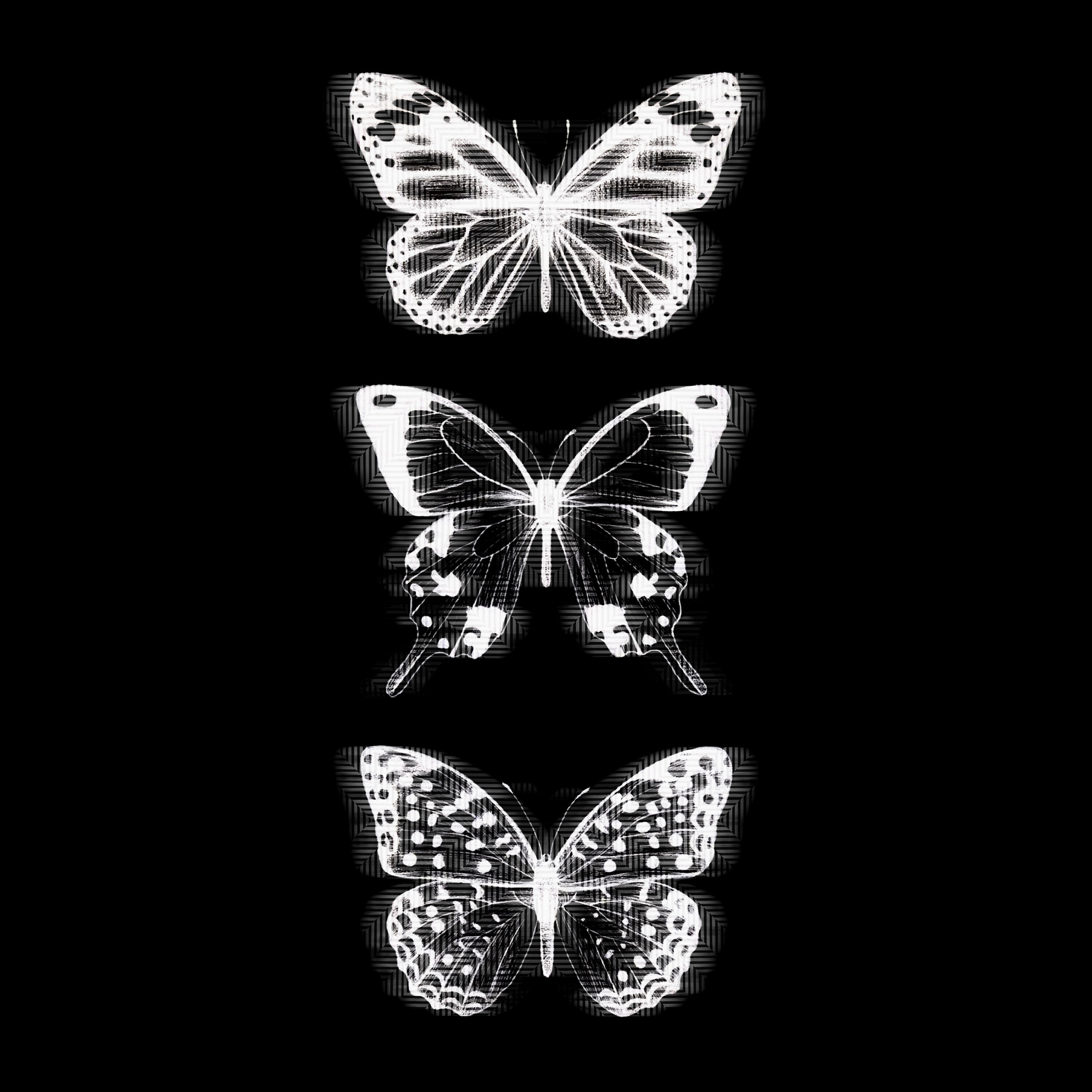 Релиз Transcended Vibes