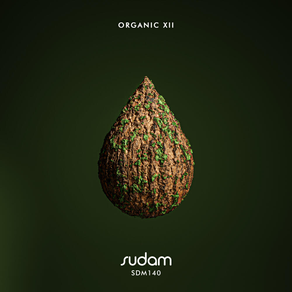 Постер альбома Organic XII