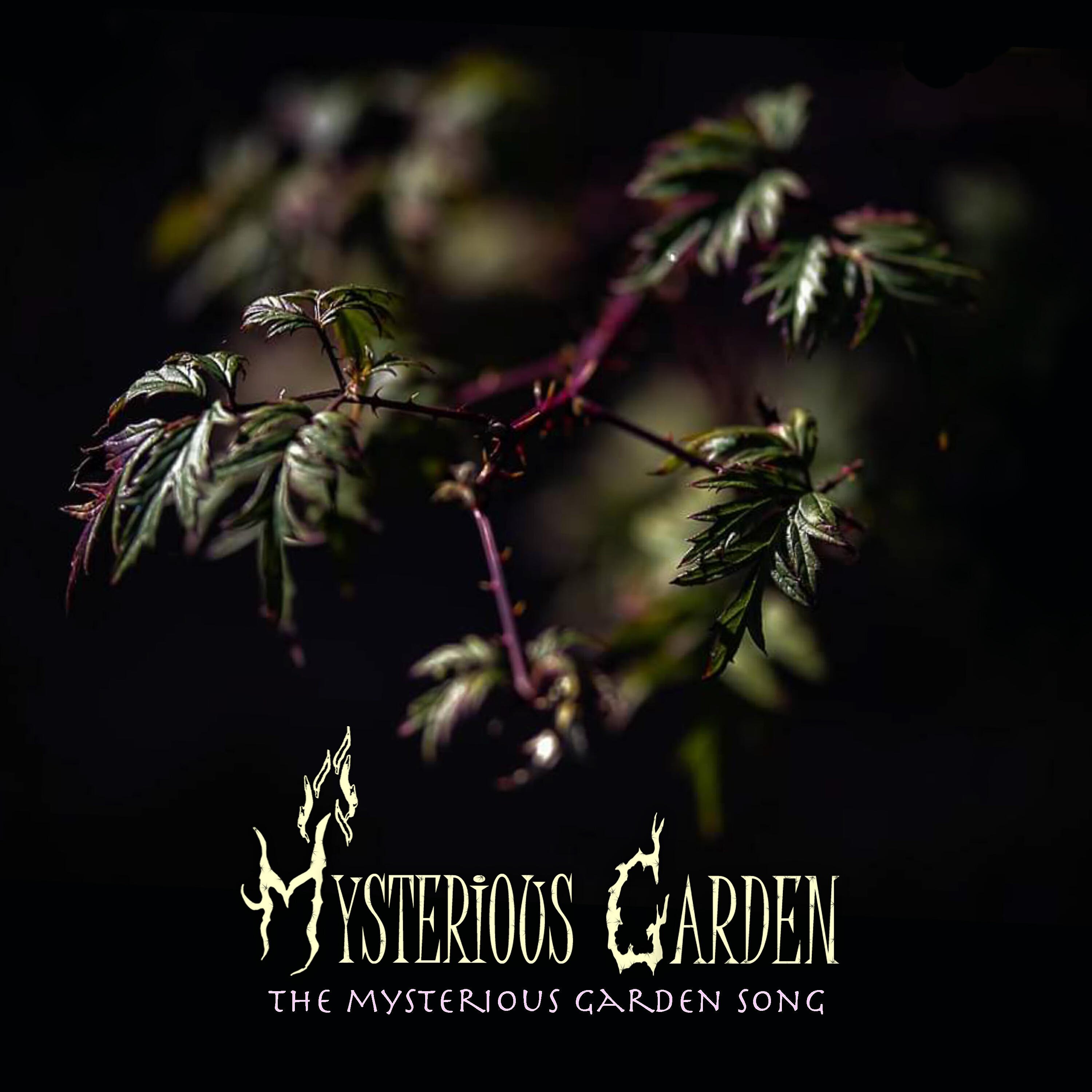 Mysterious Garden