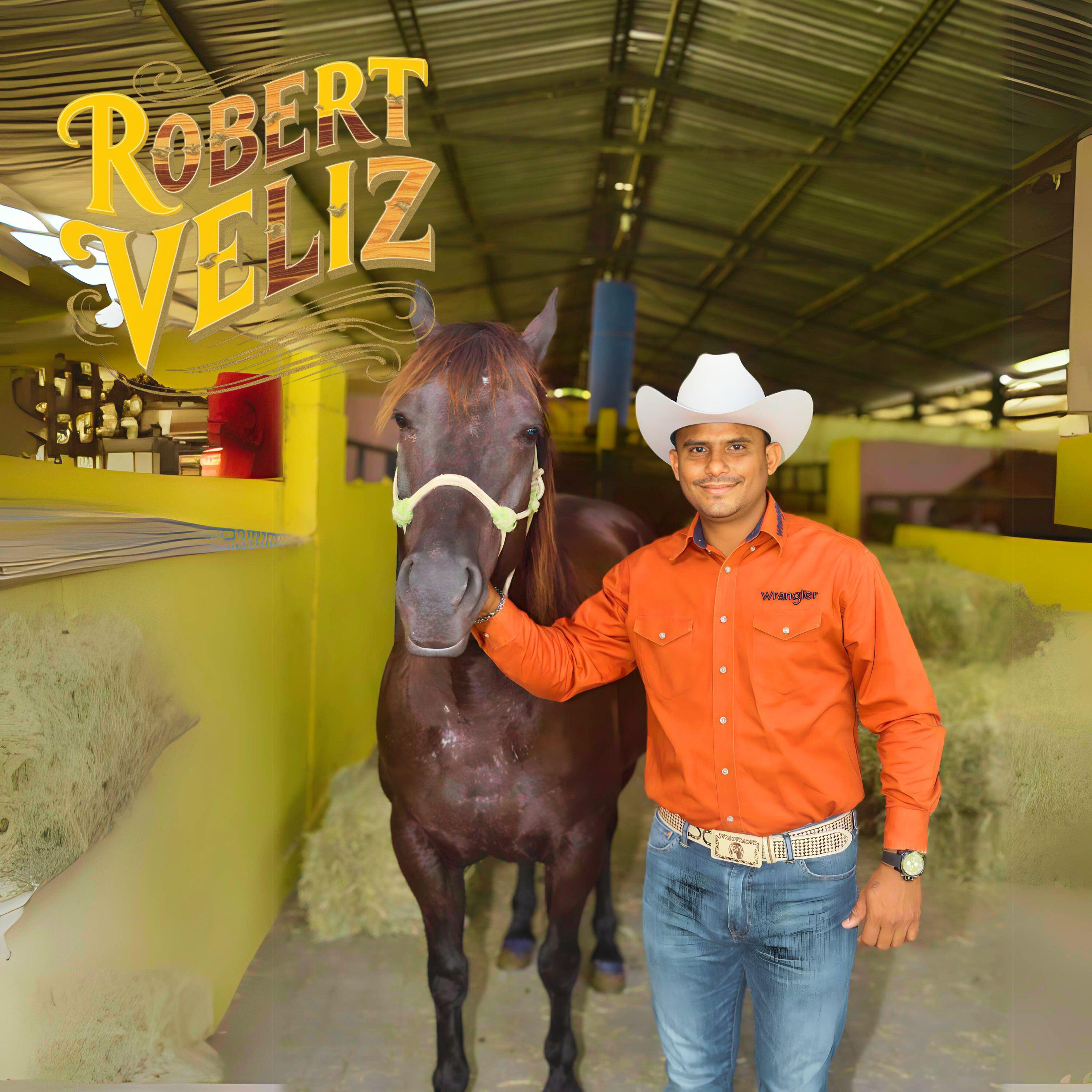 Robert Veliz