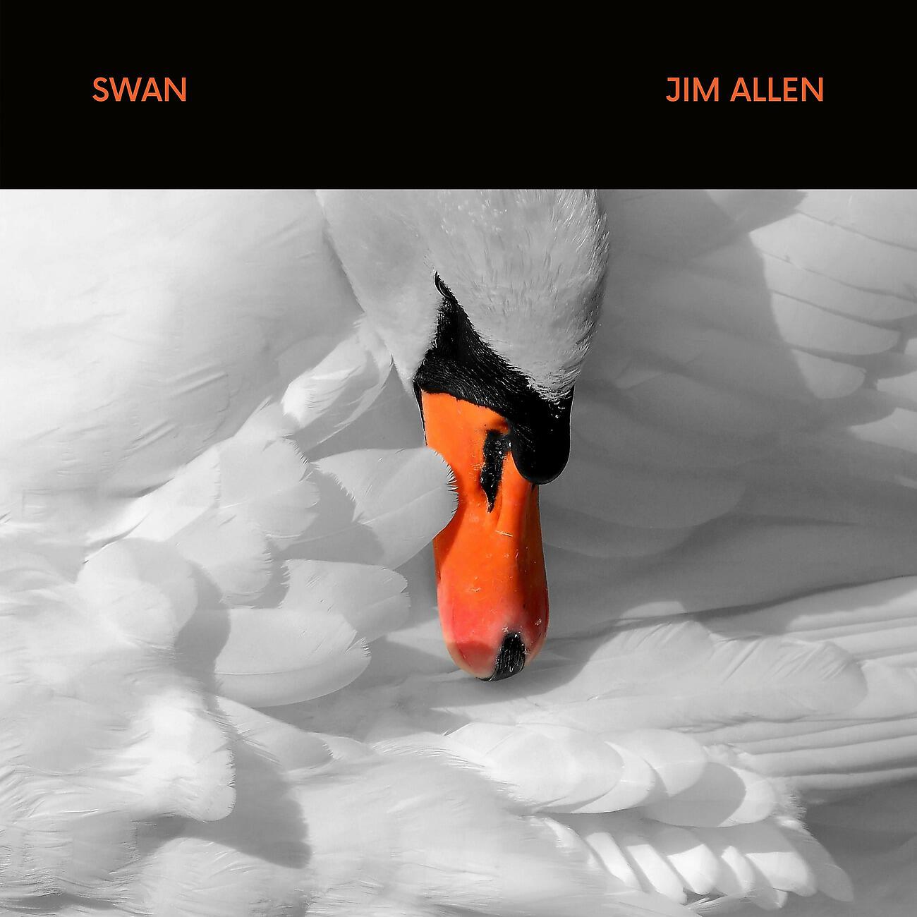 Релиз Swan