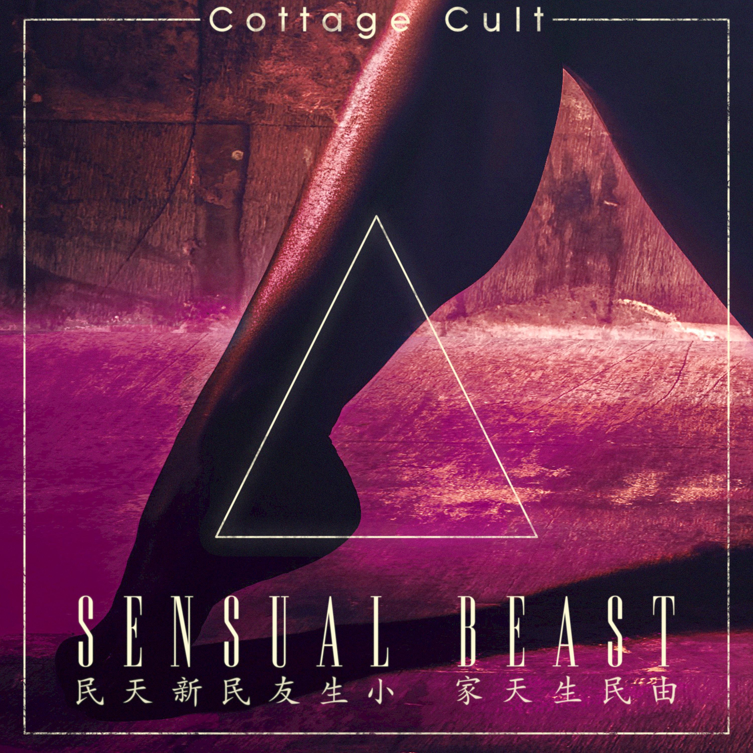 Релиз SENSUAL BEAST: Android Gigolo