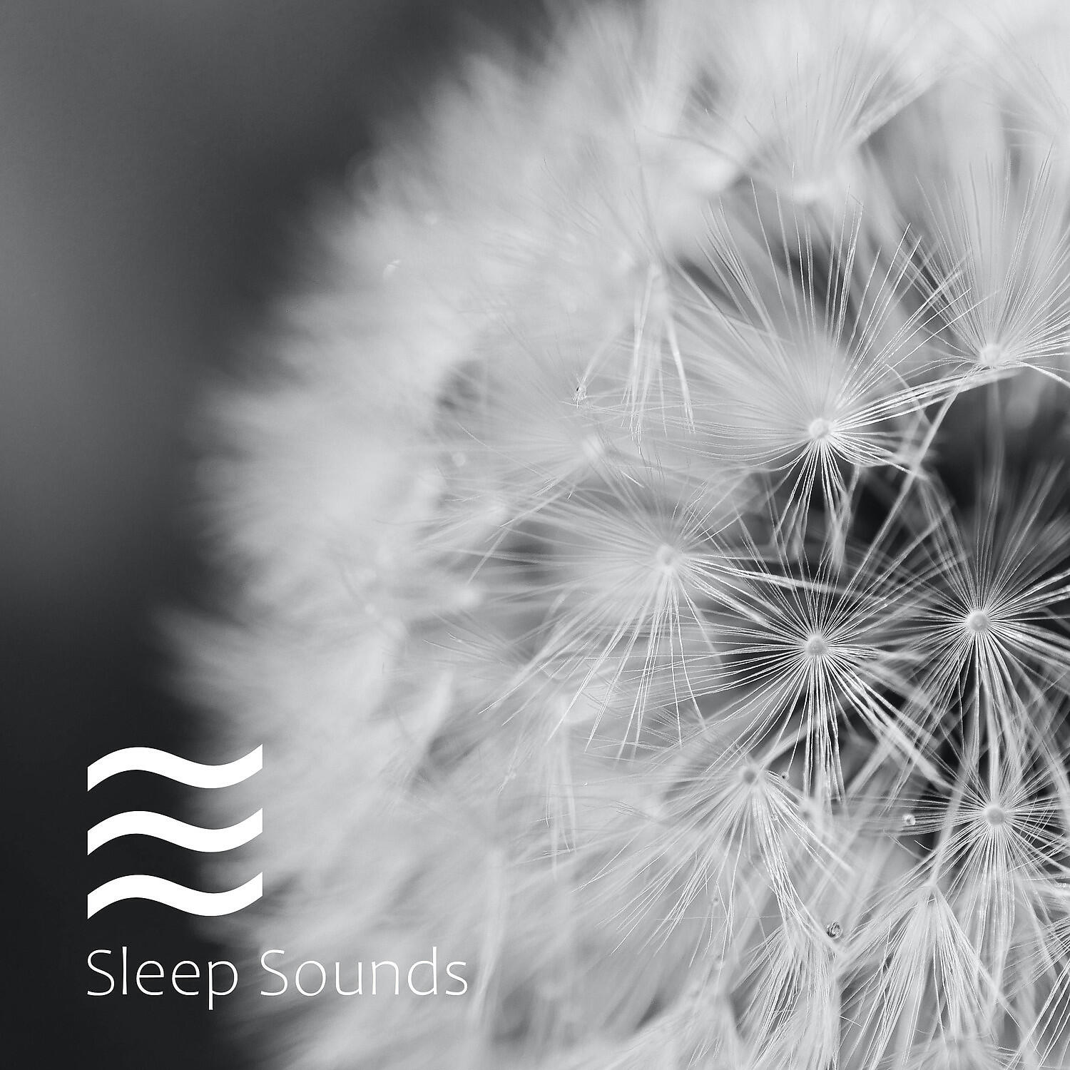 Релиз Fan White Noise for Baby's Sleep Collection