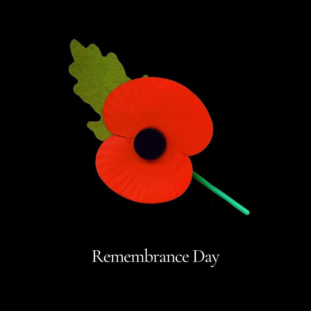 Релиз Remembrance Day