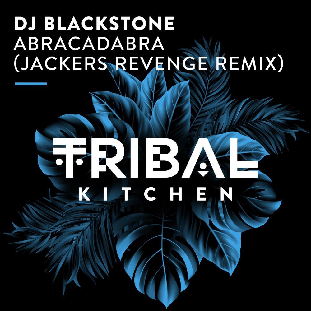 Релиз Abracadabra (Jackers Revenge Remix)