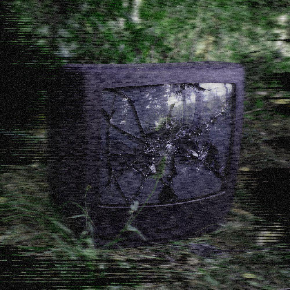 Релиз CANOPY