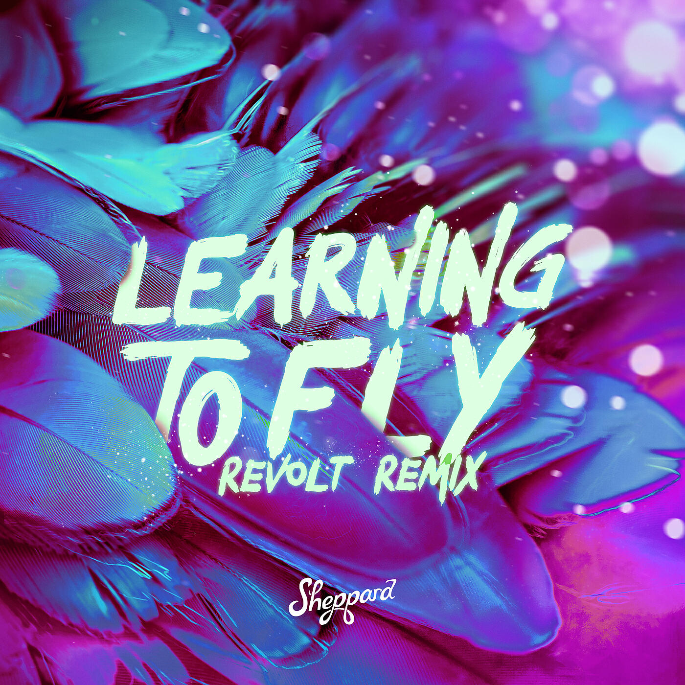Релиз Learning To Fly