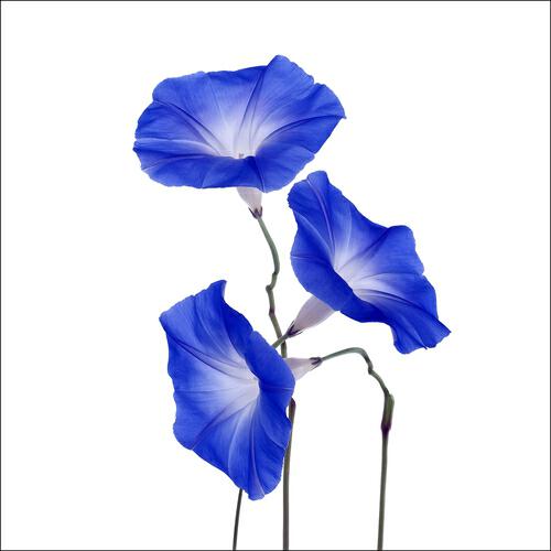 Релиз Unfold
