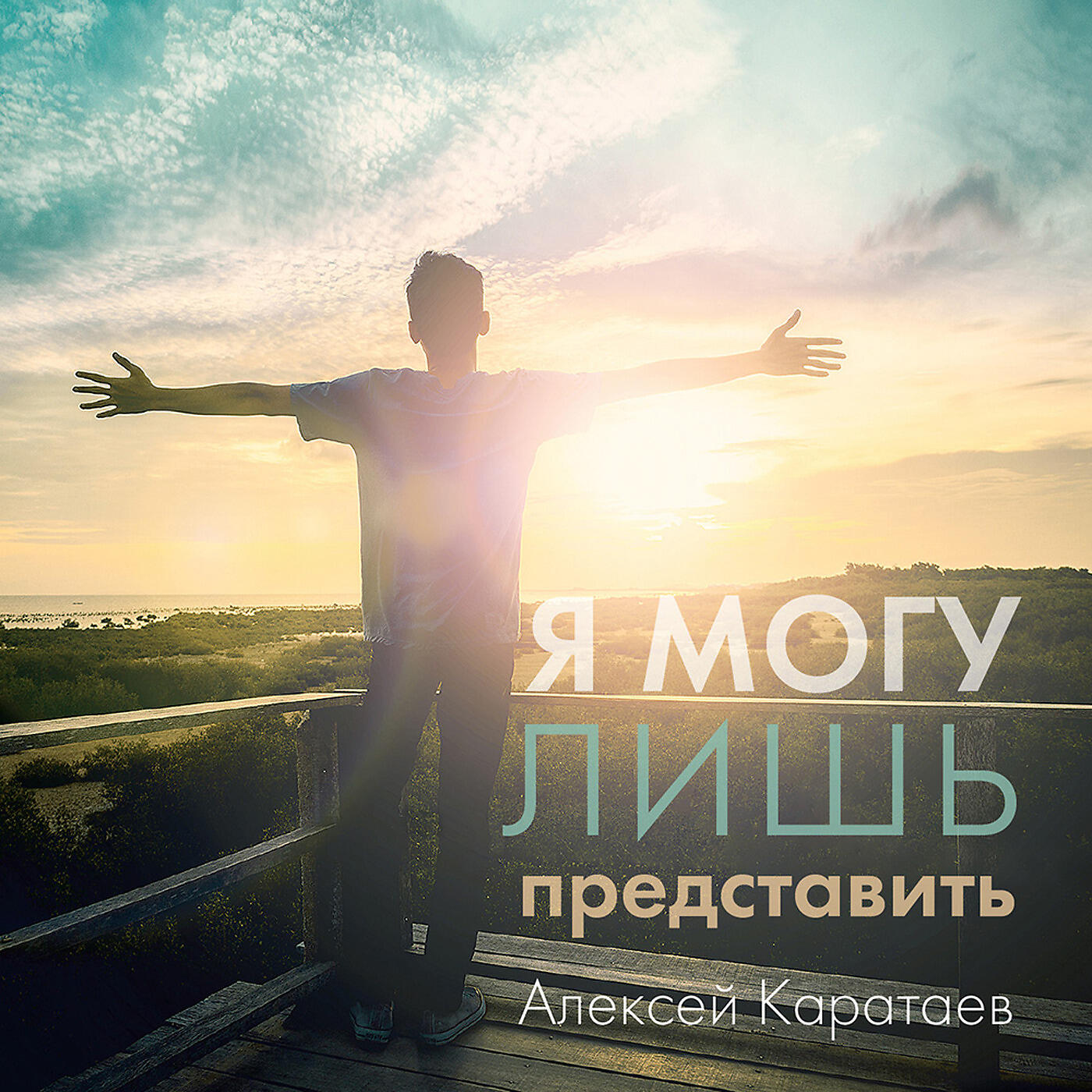 Релиз Я могу лишь представить