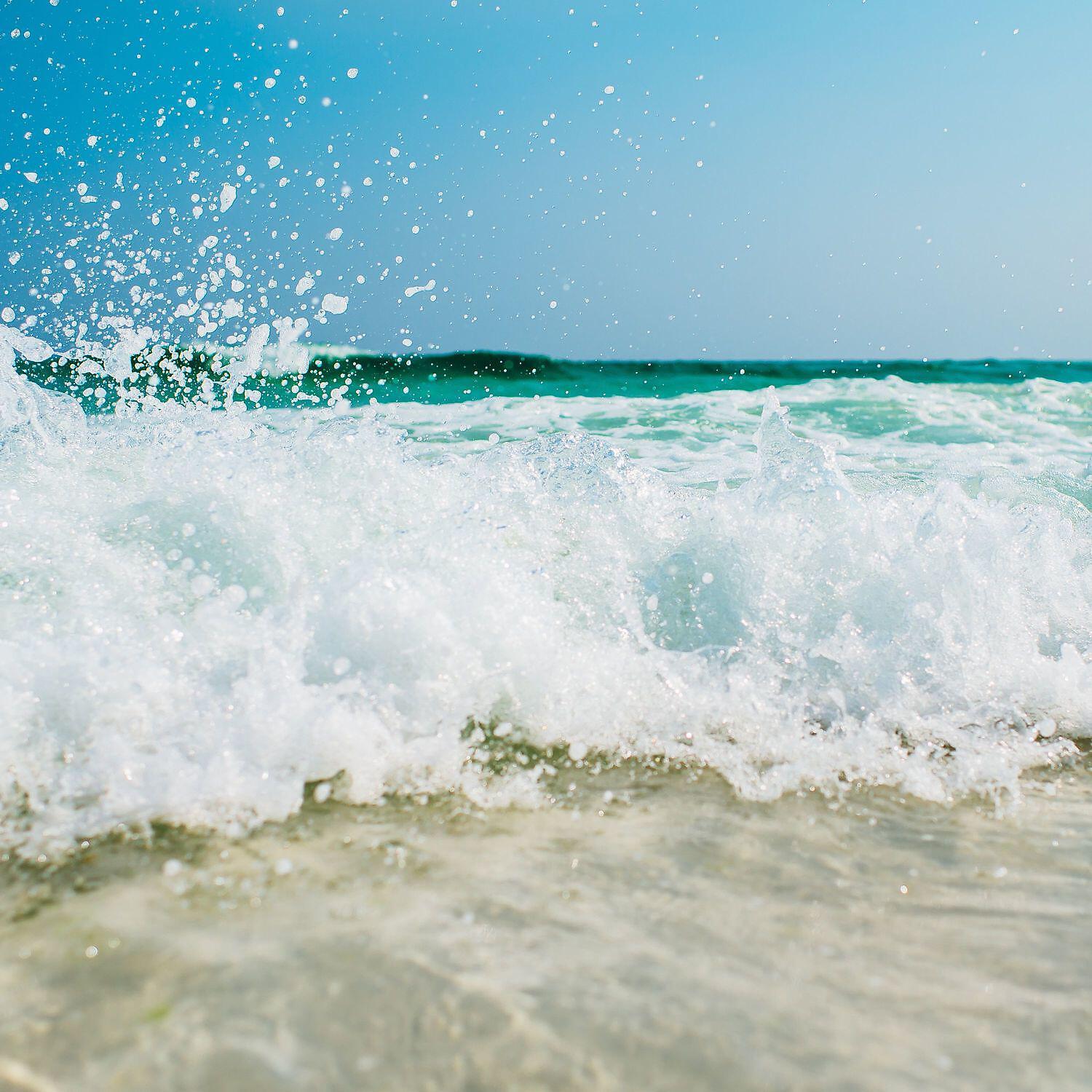 Релиз Forest Sounds + Ocean Waves + Calm River Sound