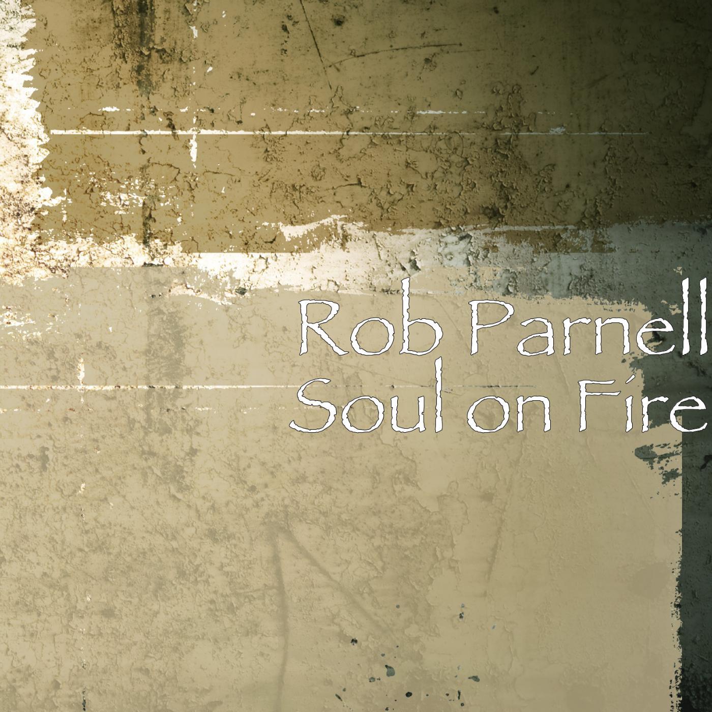 Релиз Soul on Fire