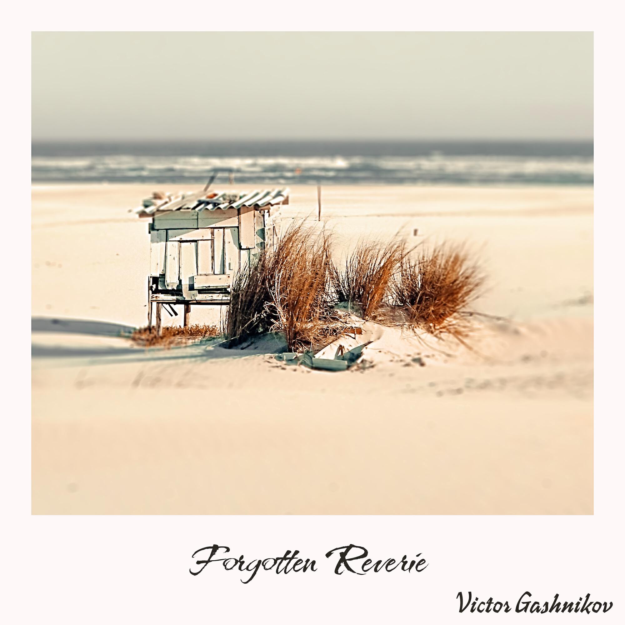 Релиз Forgotten Reverie