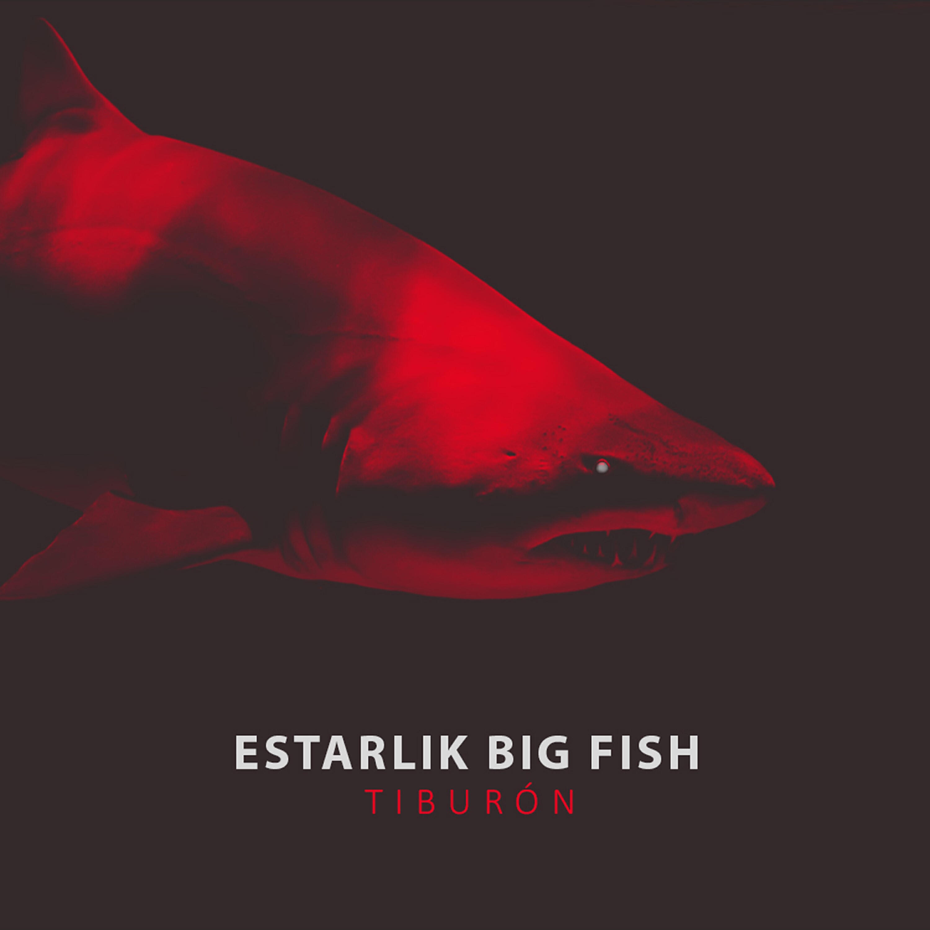 Скачать песню Estarlik Big Fish, Dakaneh, Mr Karty, Jaume Más - Big Combo бесплатно в MP3 для Android и iOS