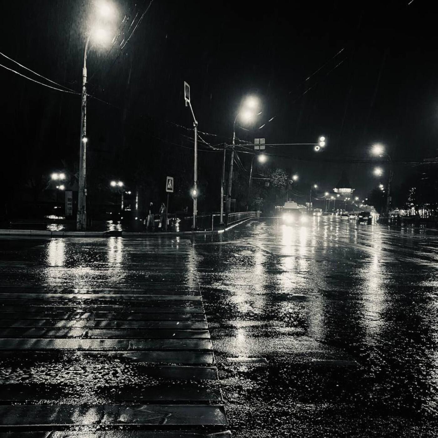 Релиз Сад изящный слов